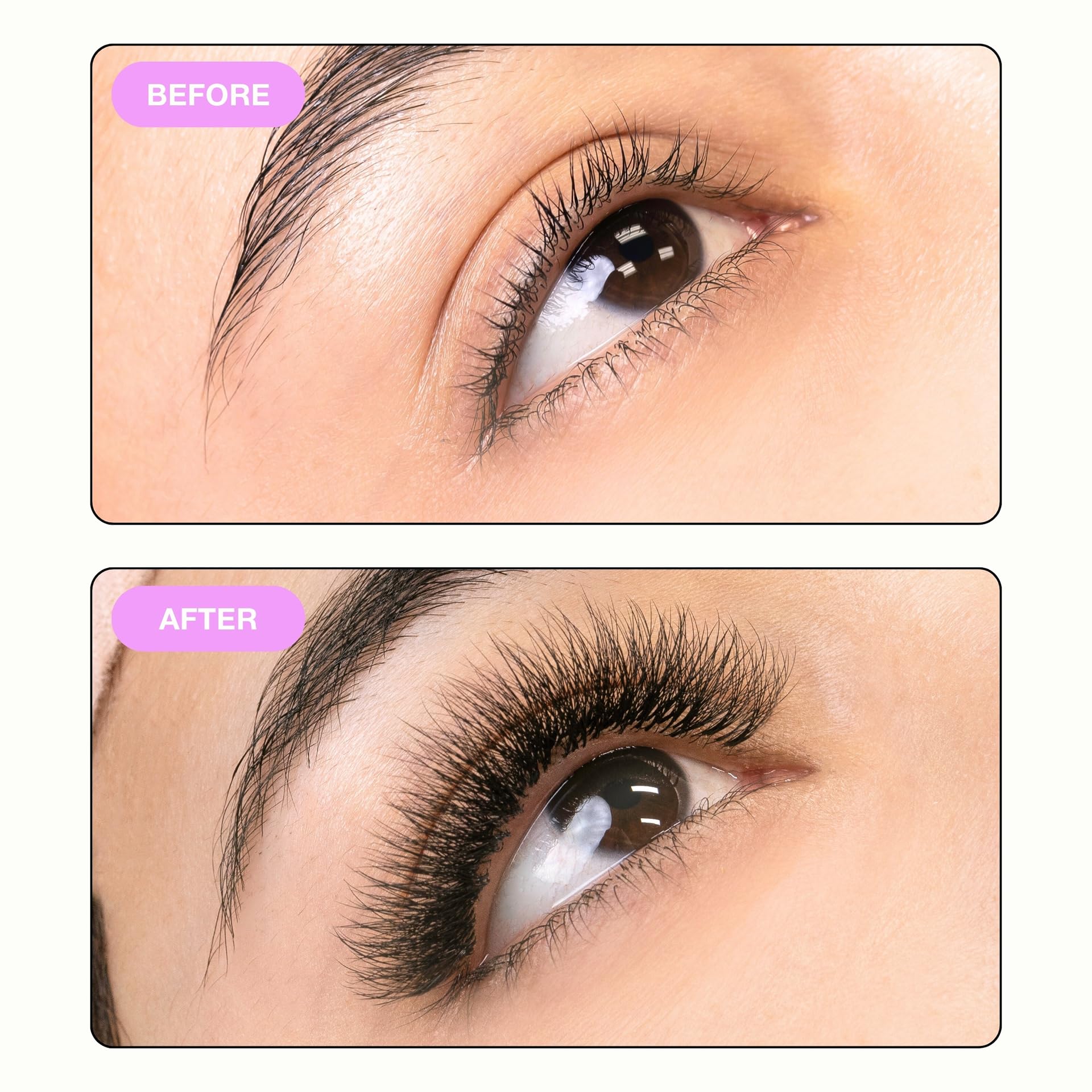 Curacoro Camellia Promade Fans — Handmade 5D-10D Lash Fans, Mixed 7–14mm, C/CC/D Curl, 0.03–0.07mm