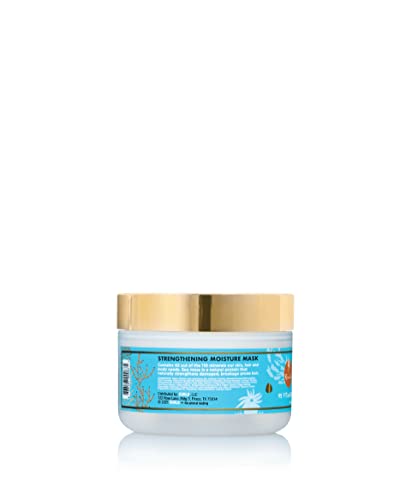 CURLS Sea Moss 92 Minerals Conditioner – Hydration, Strength & Sebum Balance (8oz)