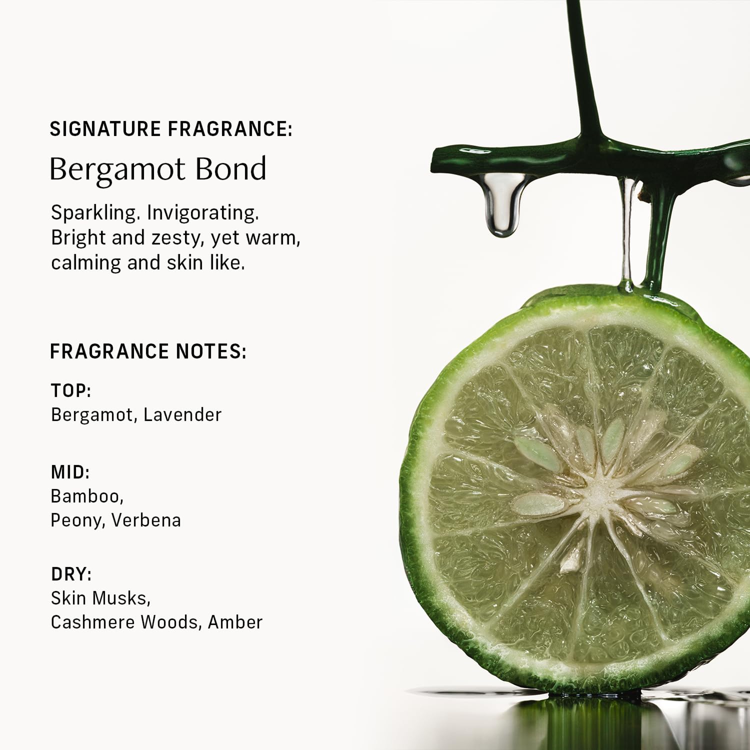 CYKLAR Nutrient Rich Body Cream – Bergamot Bond Moisturizer with Niacinamide & Banana Flower, Deep Hydration, 8 oz