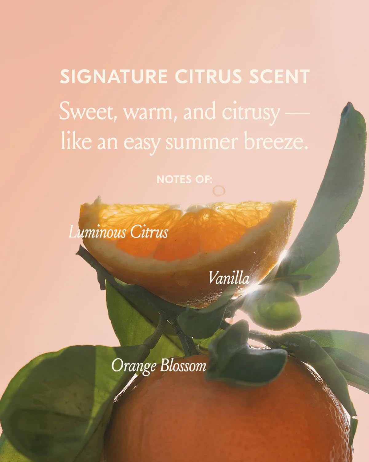 DAE Freshly Squeezed Wash Set Refreshing Citrus Hair Cleanse