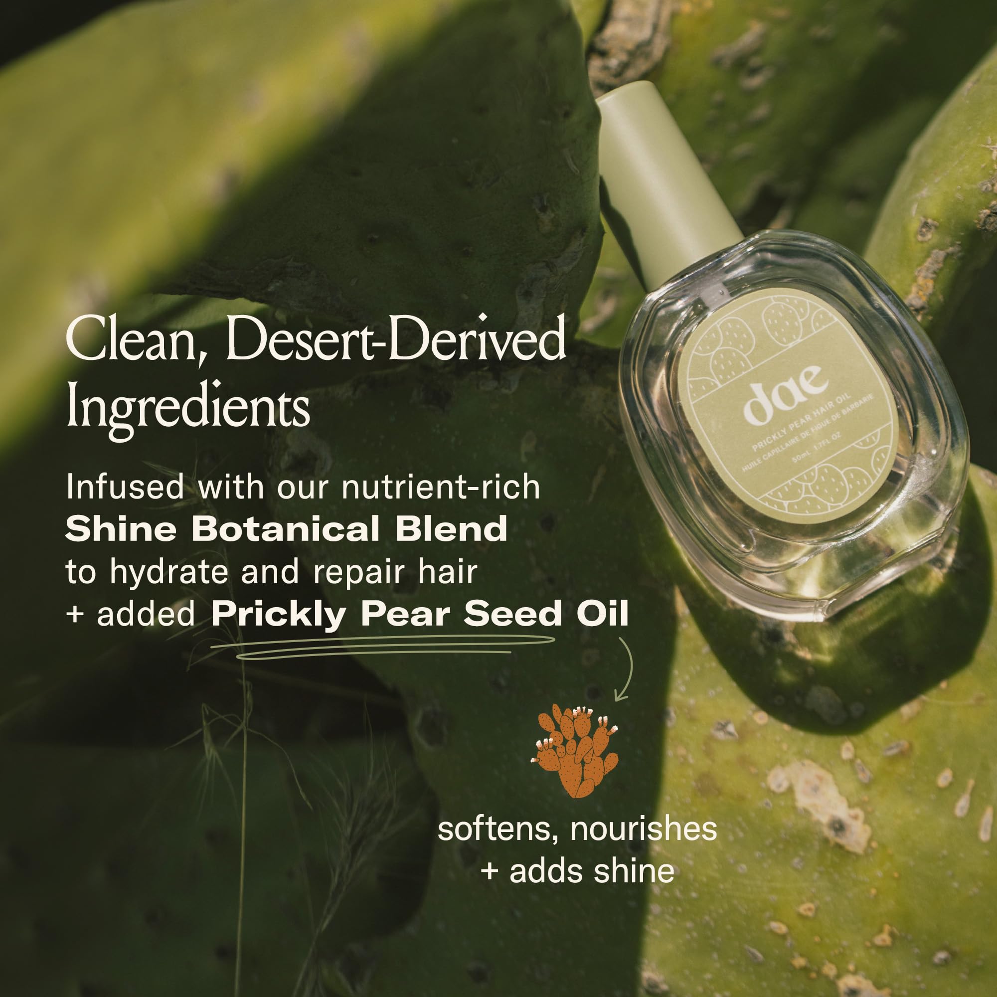 DAE Prickly Pear Hair Oil – Smooths Frizz, Hydrates, Detangles & Adds Shine (0.6 oz)