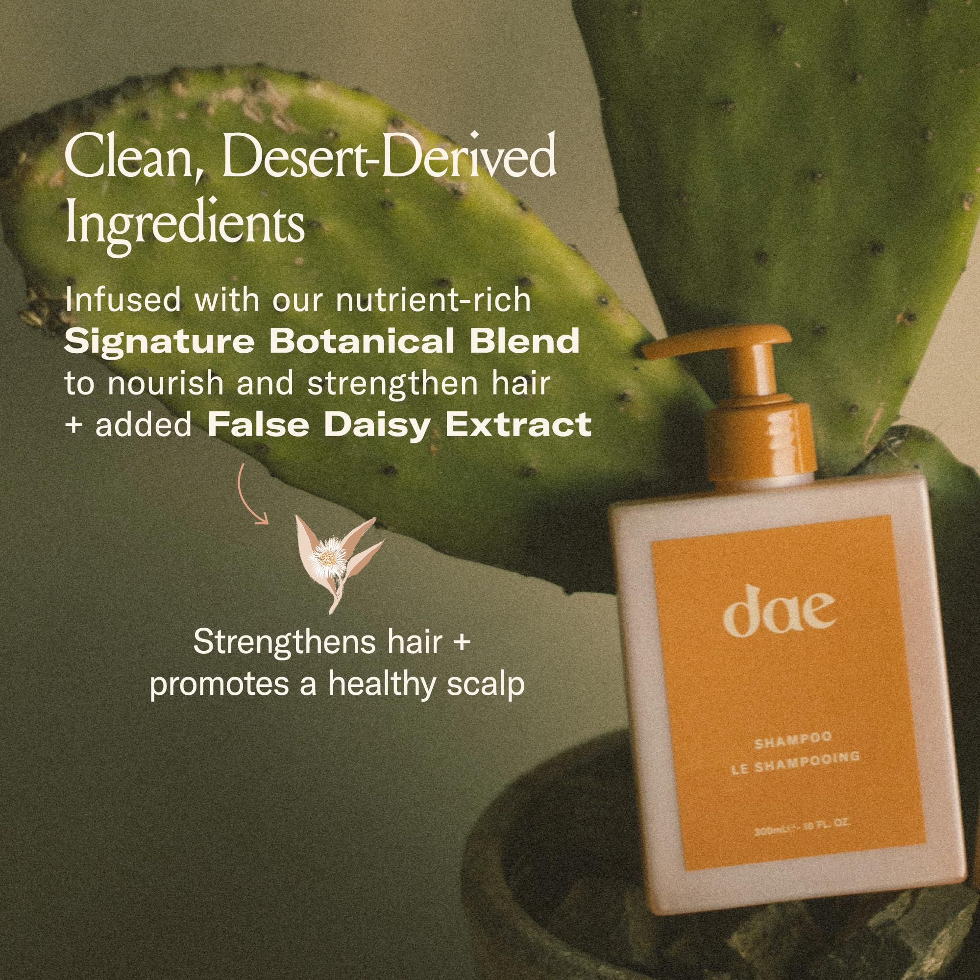 DAE Signature Shampoo – Cleanse & Hydrate Dry Hair & Scalp (10 oz)