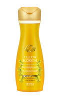 Daeng Gi Meo Ri Yellow Blossom Anti-Hair Loss Shampoo – Nourishing, Moisturizing Scalp Care for Shine | 400ml