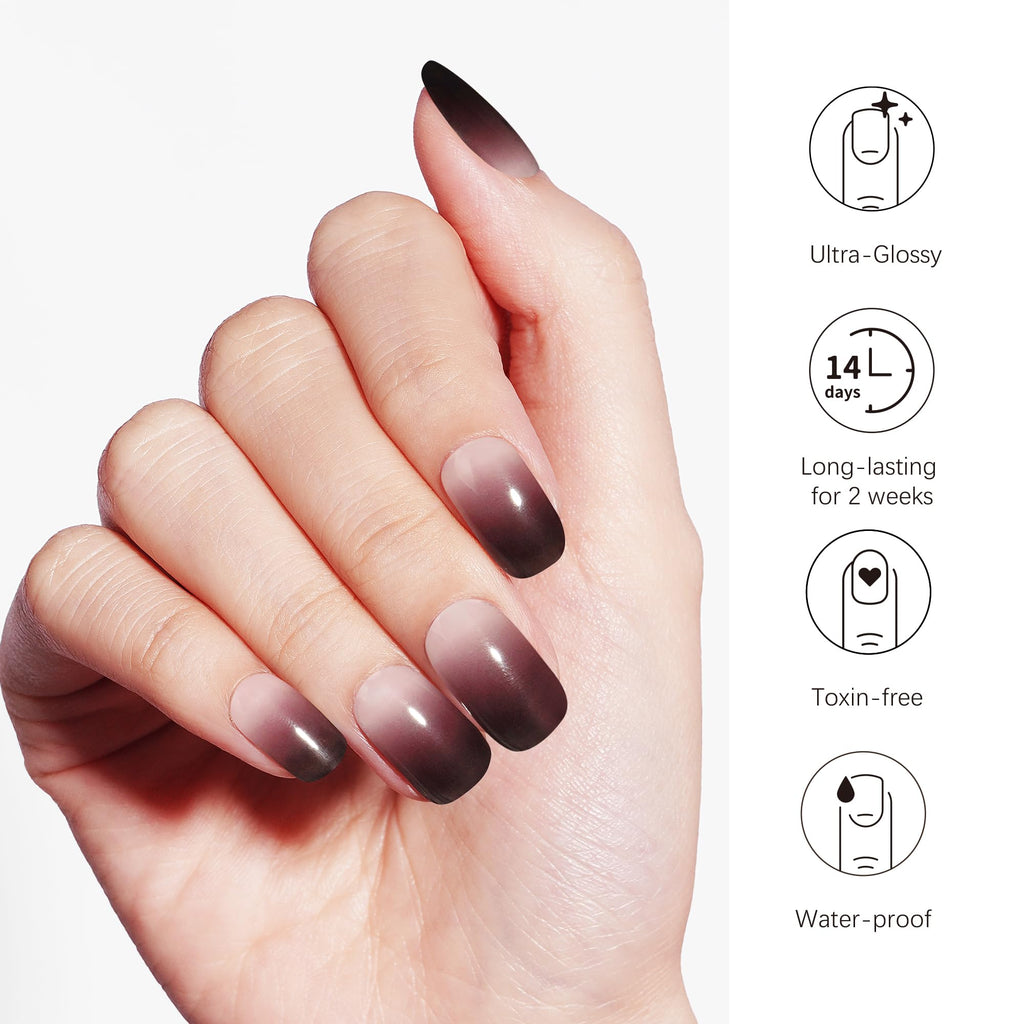 DANNI & TONI Semi Cured Gel Nail Strips – Black Transparent Ombre