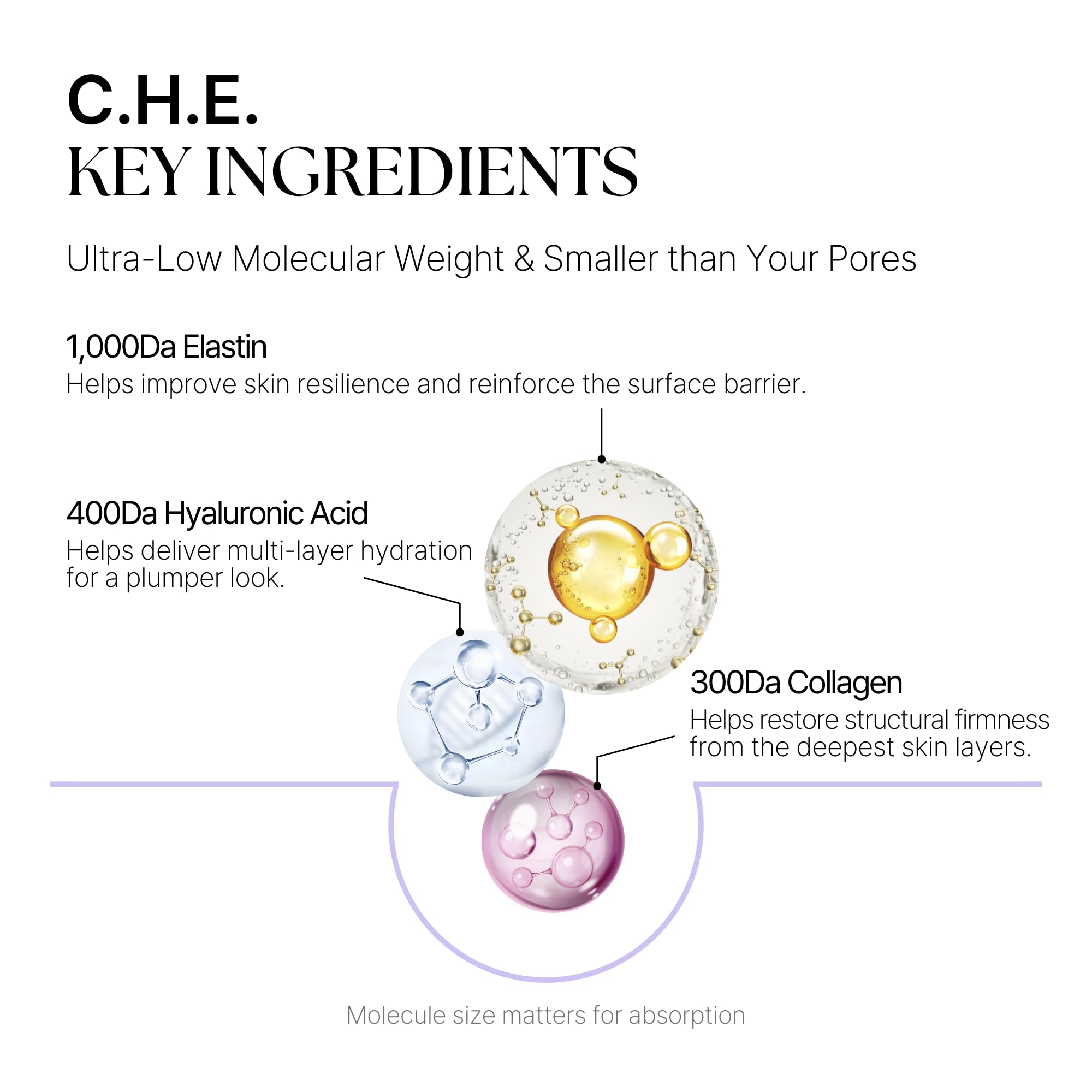 DaseuL’ C.H.E. Meltin Shell Overnight Mask – Built-In Brush, Ultra-Low Molecular Collagen & Hyaluronic Acid