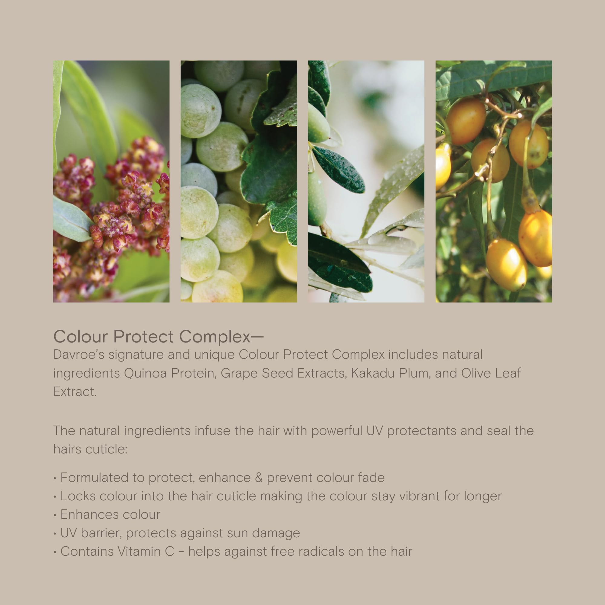 DAVROE Repair Senses Revitalizing Conditioner | Natural, Vegan, Colour Protect