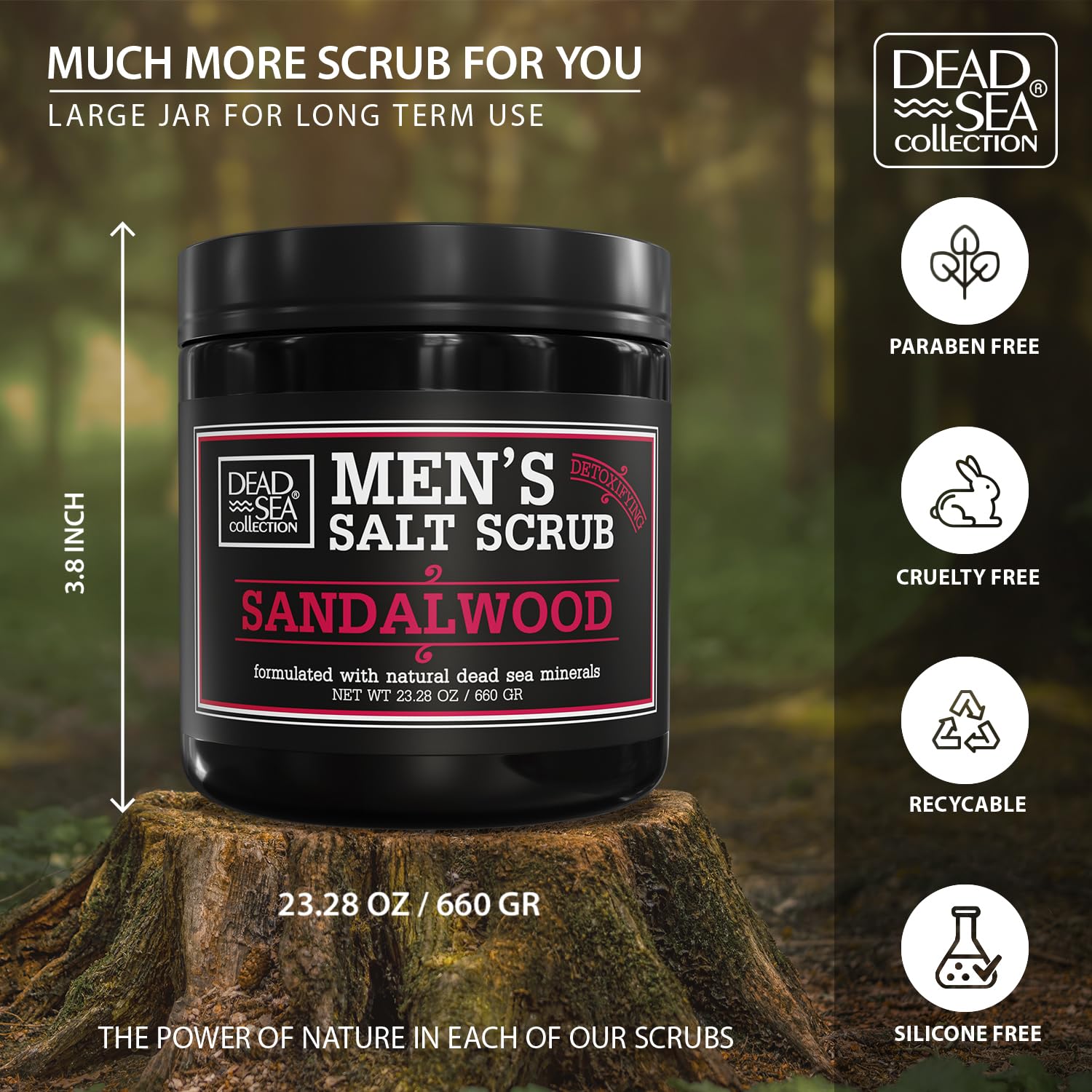 Dead Sea Collection Salt Body Scrub Sandalwood for Men – Exfoliate, Moisturize & Detox with Dead Sea Minerals (23.28 oz)