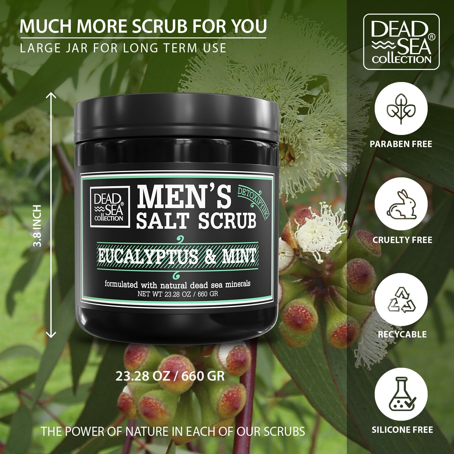 Dead Sea Collection Salt Body Scrub Eucalyptus & Mint for Men - Exfoliate, Hydrate & Detoxify (23.28 oz)