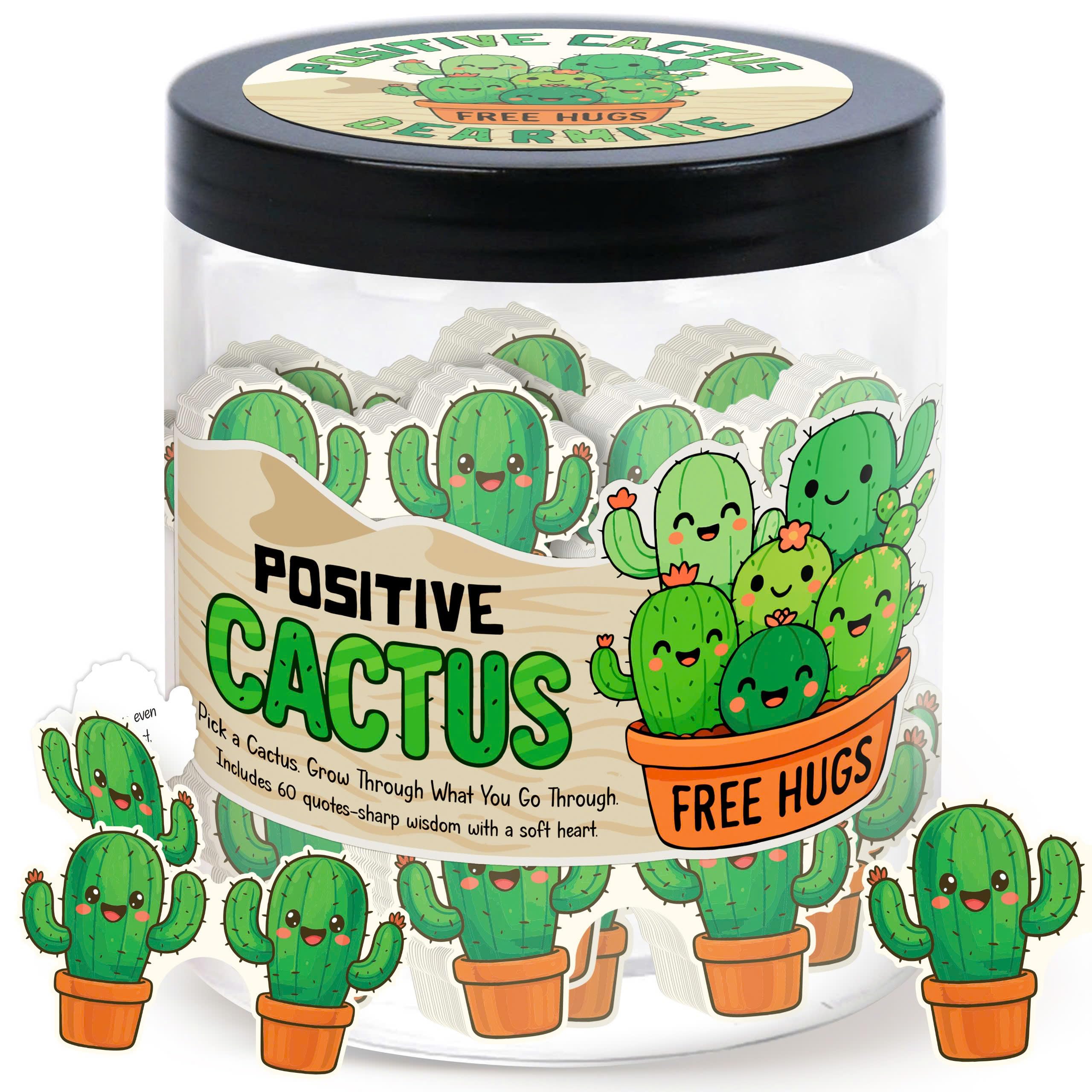 DEARMINE Positive Cactus Jar — 60 Daily Affirmations for Daily Motivation & Desk Decor