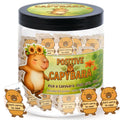 DEARMINE Positive Capybara Jar — 60 Affirmations, Gift & Cute Office Decor