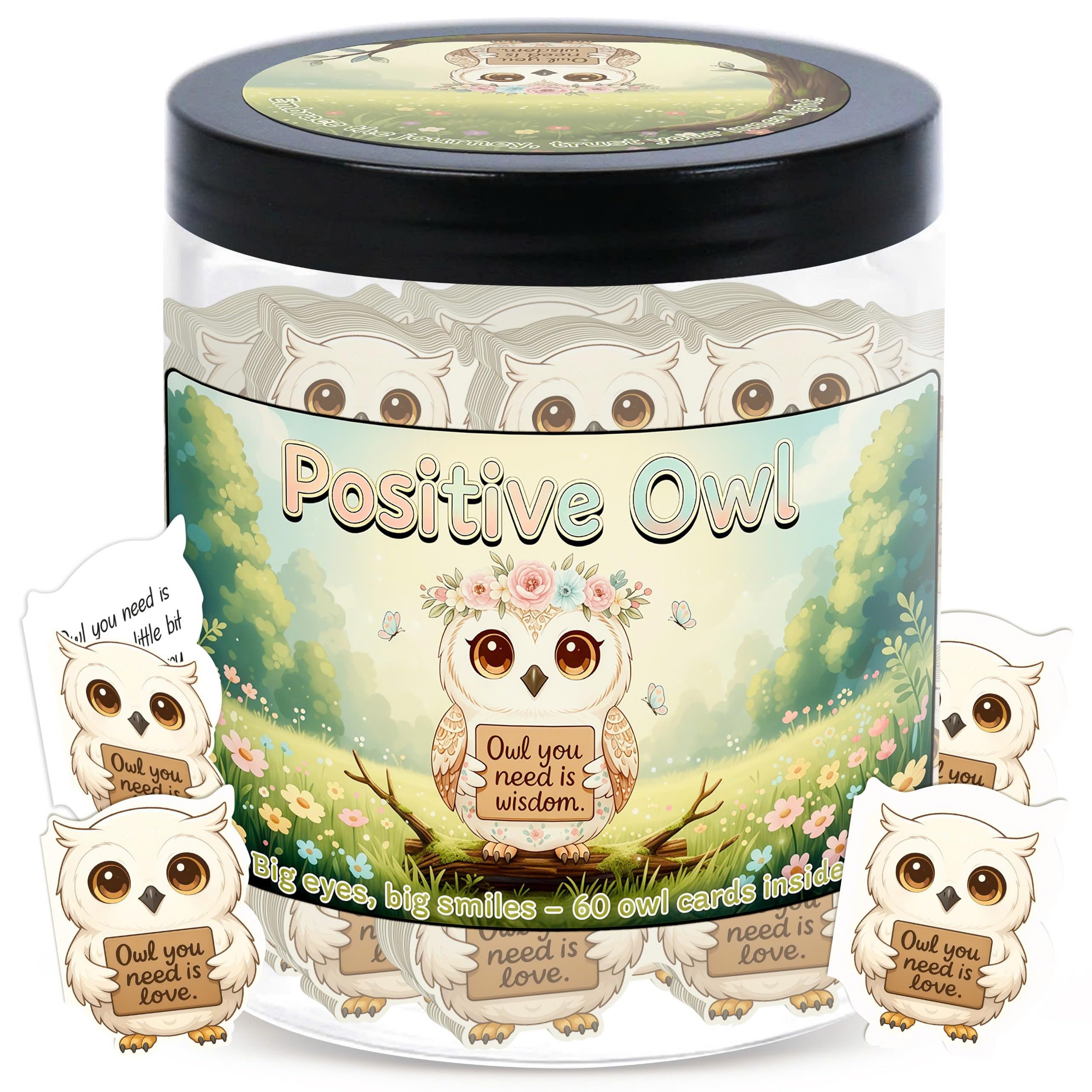 DEARMINE Positive Owl Jar with 60 Affirmation Cards – Daily Encouragement & Emotional Support for Women