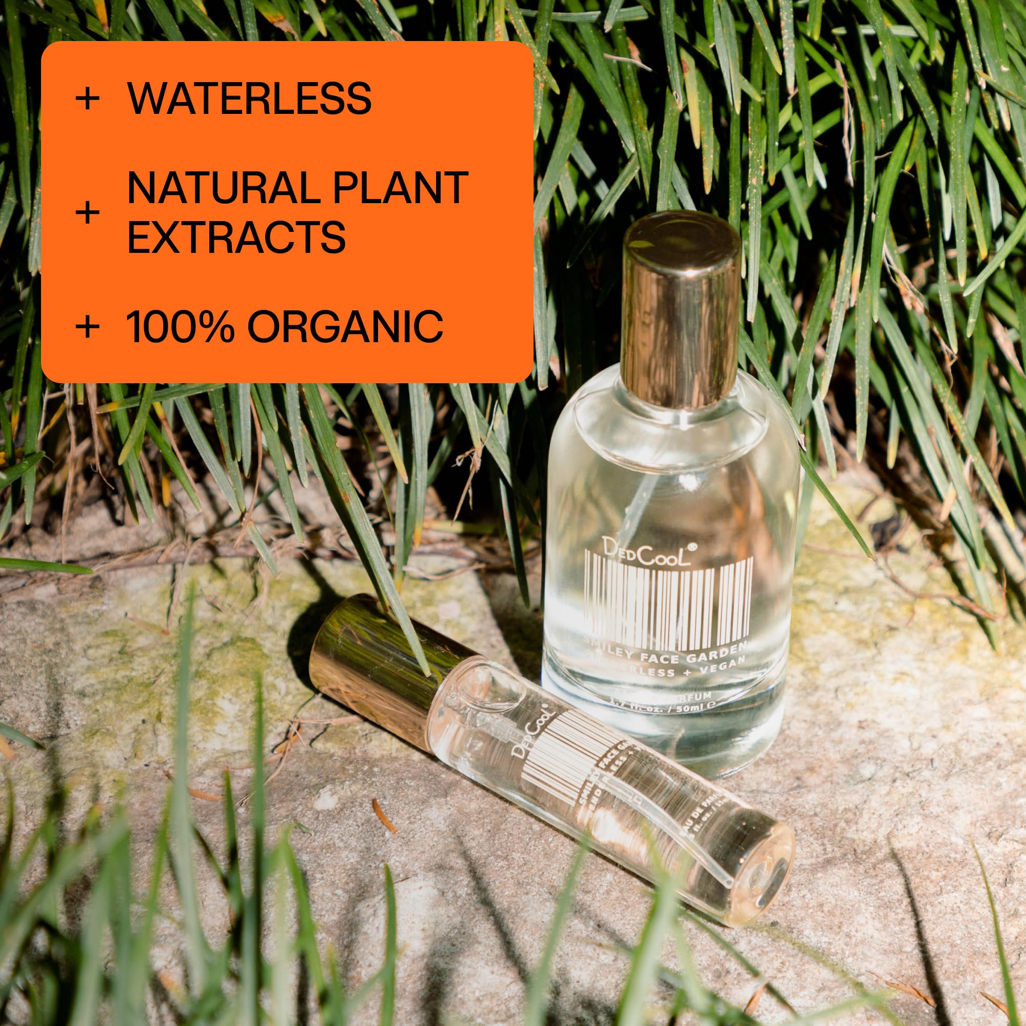 DedCool 01 Taunt Eau de Parfum | Genderless Luxury, Bergamot, Cassis, Vanilla & Amber