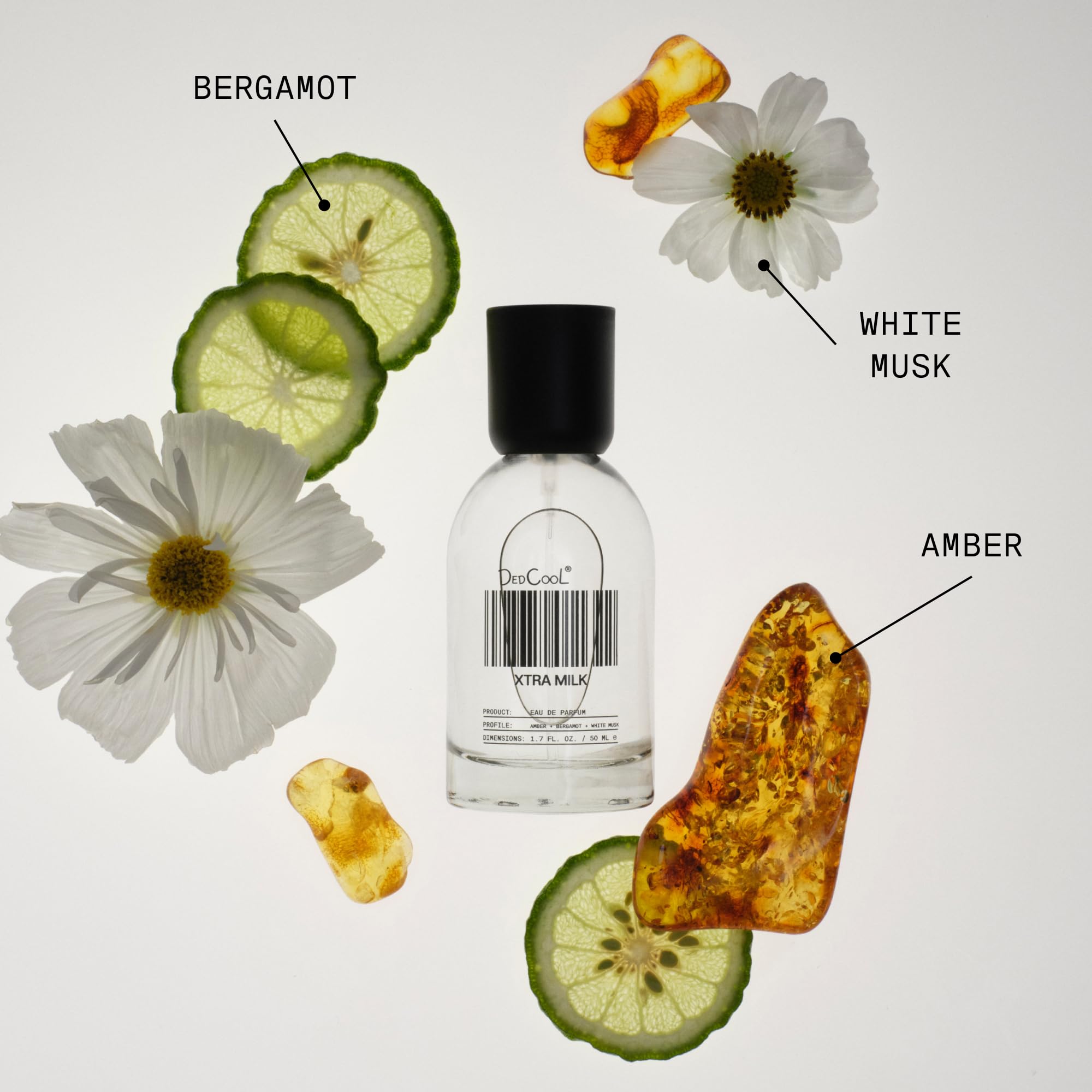 DedCool Xtra Milk Eau de Parfum | Genderless Luxury with Bergamot, White Musk & Amber | 1.7 fl oz