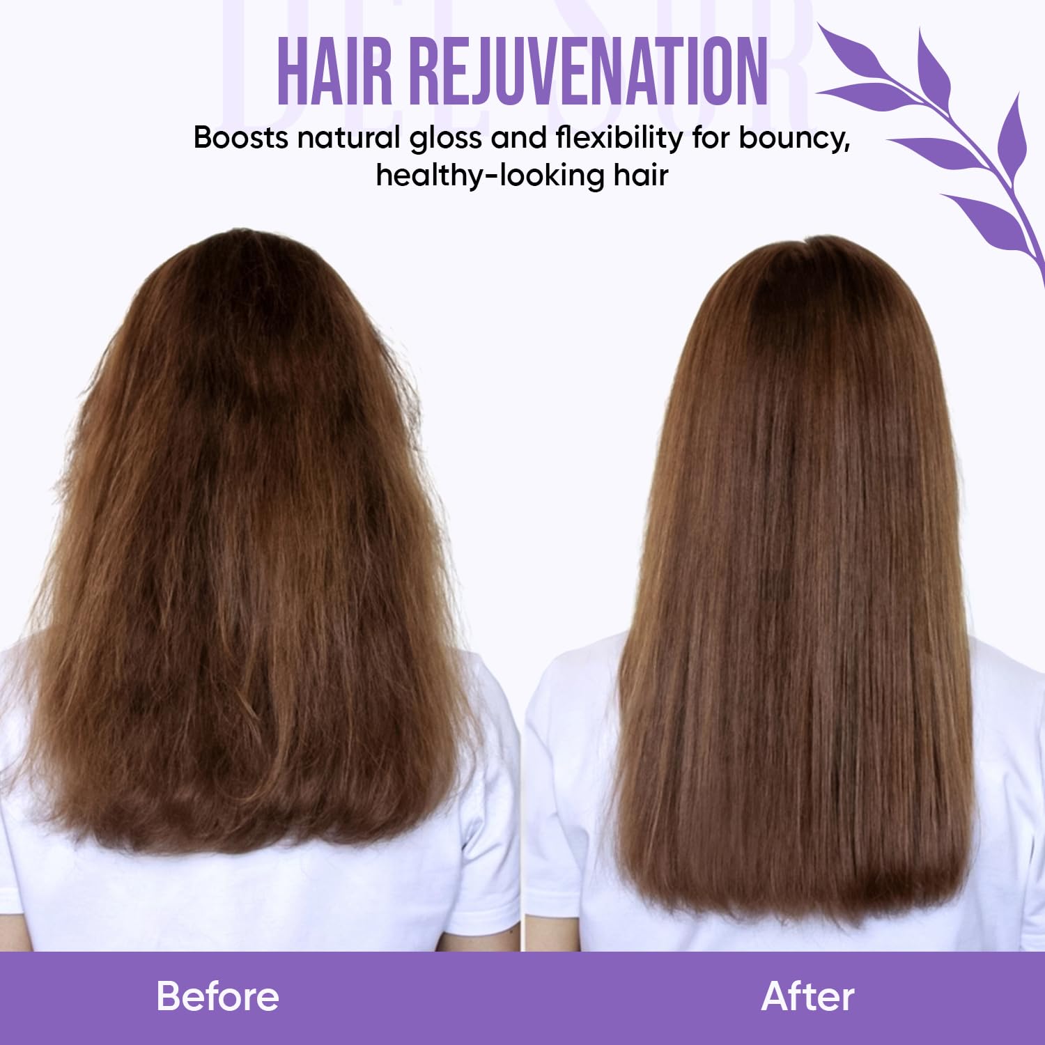 DEL SUR Hair Repair Shampoo & Conditioner Set | 16 fl oz Each | Camellia Japonica, Amino Acids, Biotin & Argan Oil