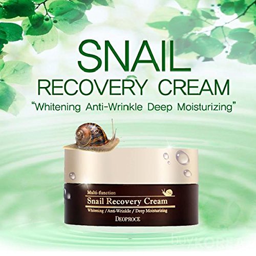 Deoproce Snail Recovery Cream – Made in Korea, Hydrating Mucin Moisturizer (3.5 oz)