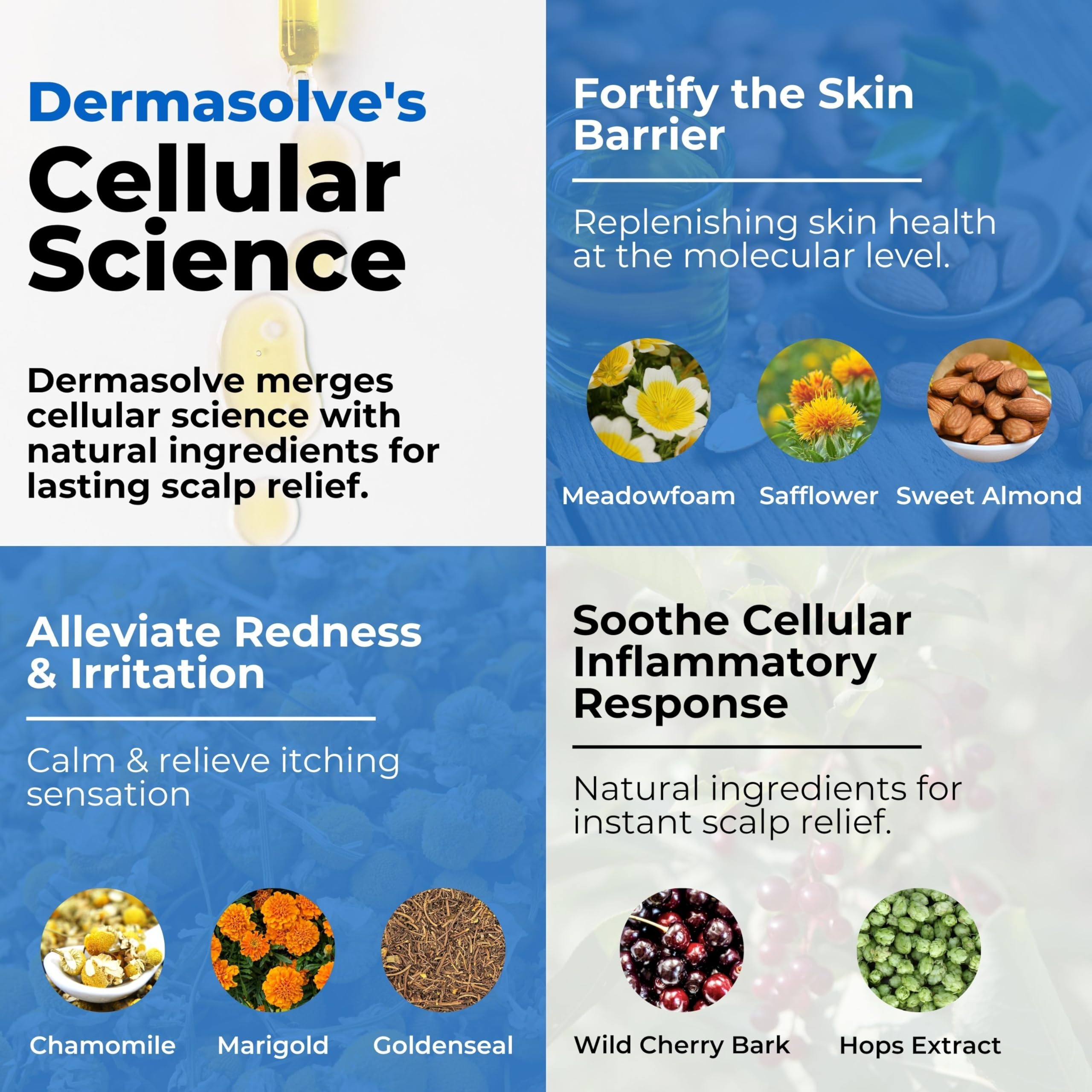 Dermasolve Psoriasis & Dandruff Oil – Dermatologist-Approved Scalp Relief