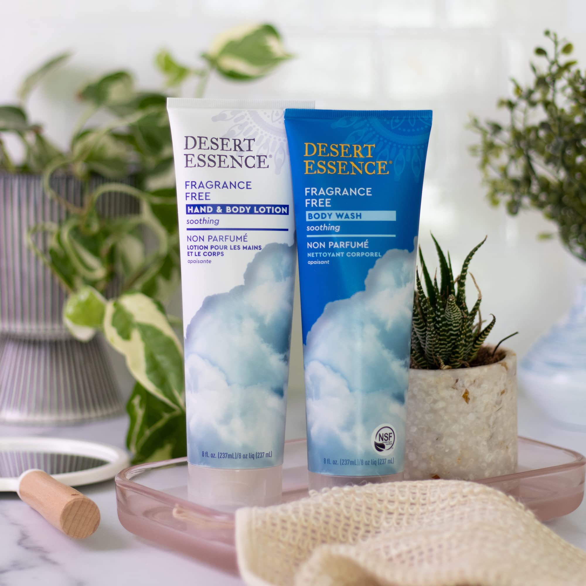 Desert Essence Fragrance Free Hand & Body Lotion – 8 oz | Aloe Vera, Shea Butter, Green Tea, Coconut Oil, Jojoba Oil