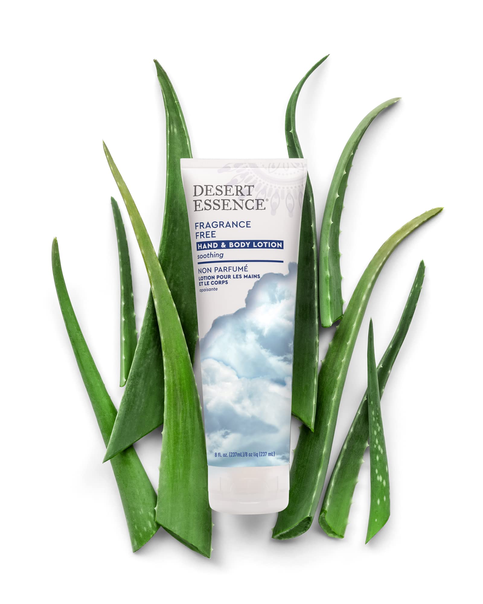 Desert Essence Fragrance Free Hand & Body Lotion – 8 oz | Aloe Vera, Shea Butter, Green Tea, Coconut Oil, Jojoba Oil