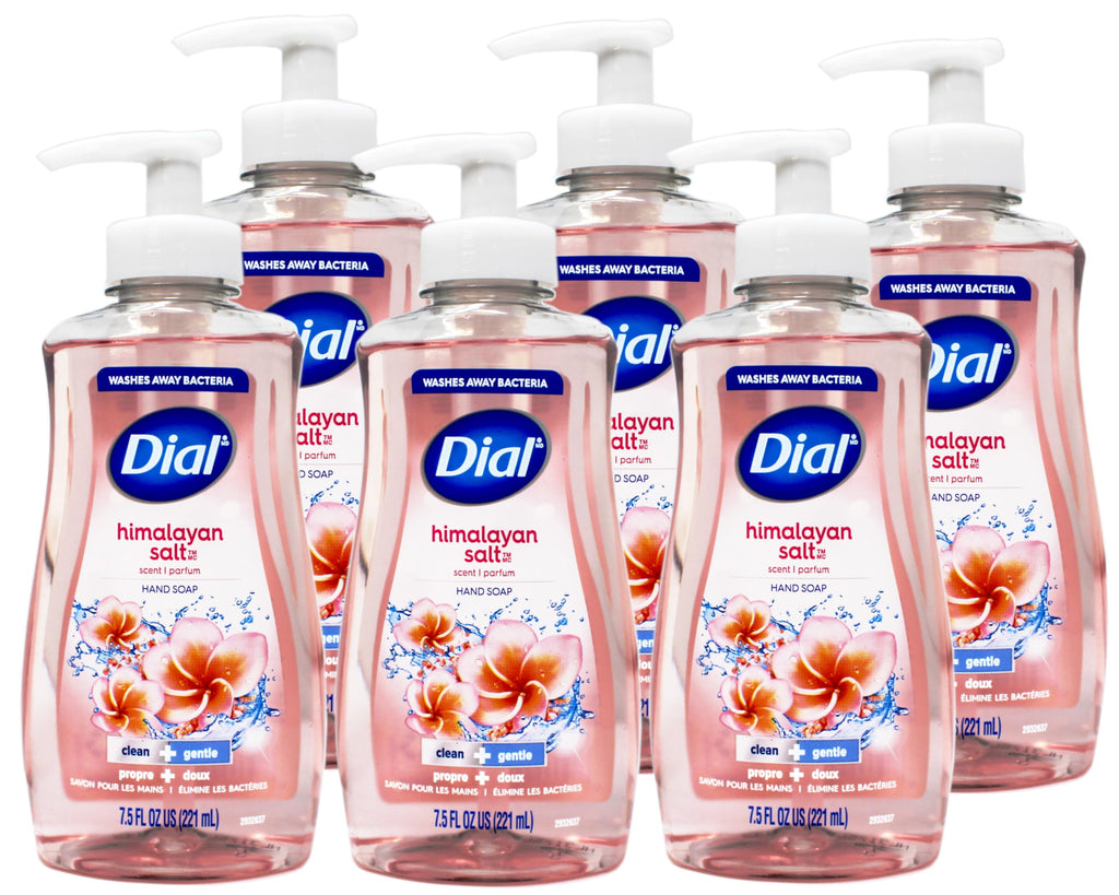 Dial Himalayan Pink Salt & Water Lily Hand Soap with Moisturizer – 7.5 oz, Pack of 6