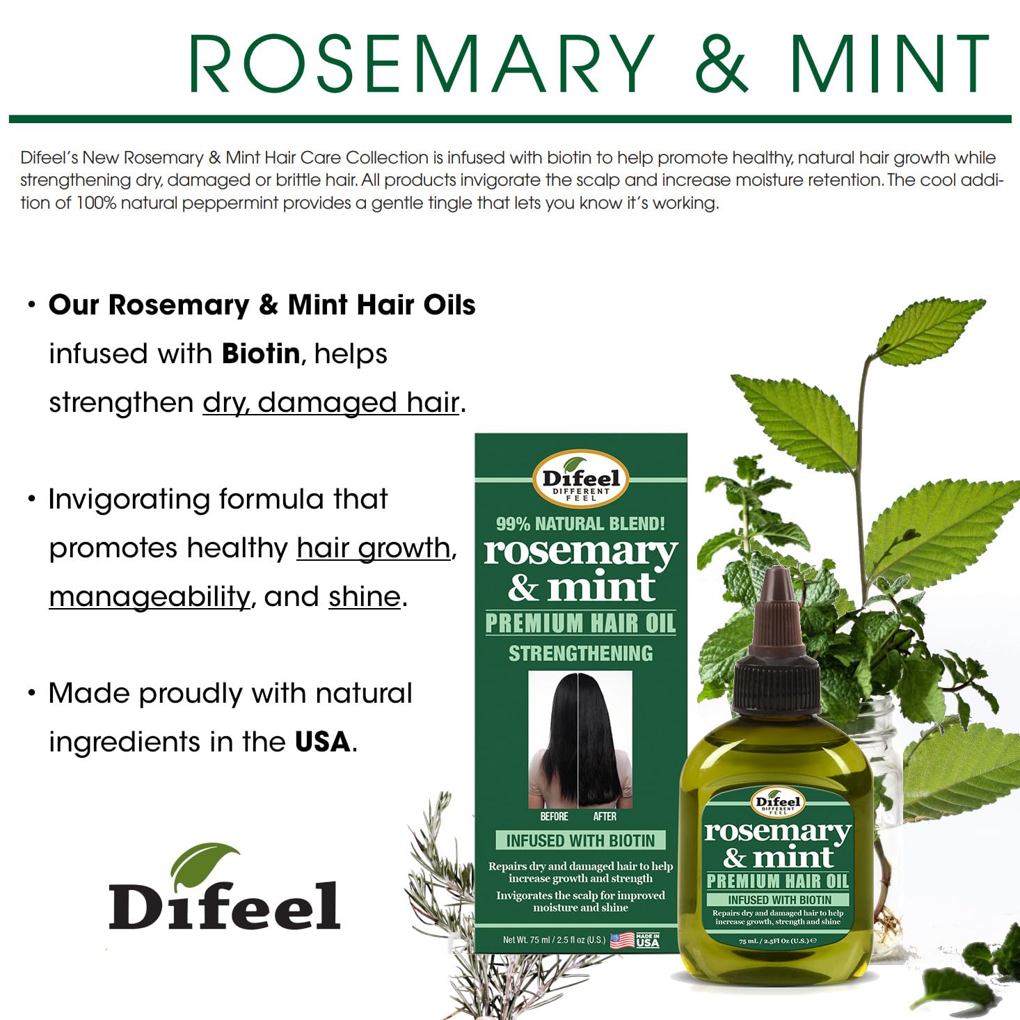Difeel Rosemary Mint Biotin 4-Piece Box Set | Shampoo, Conditioner, Hair Mask & Hair Oil