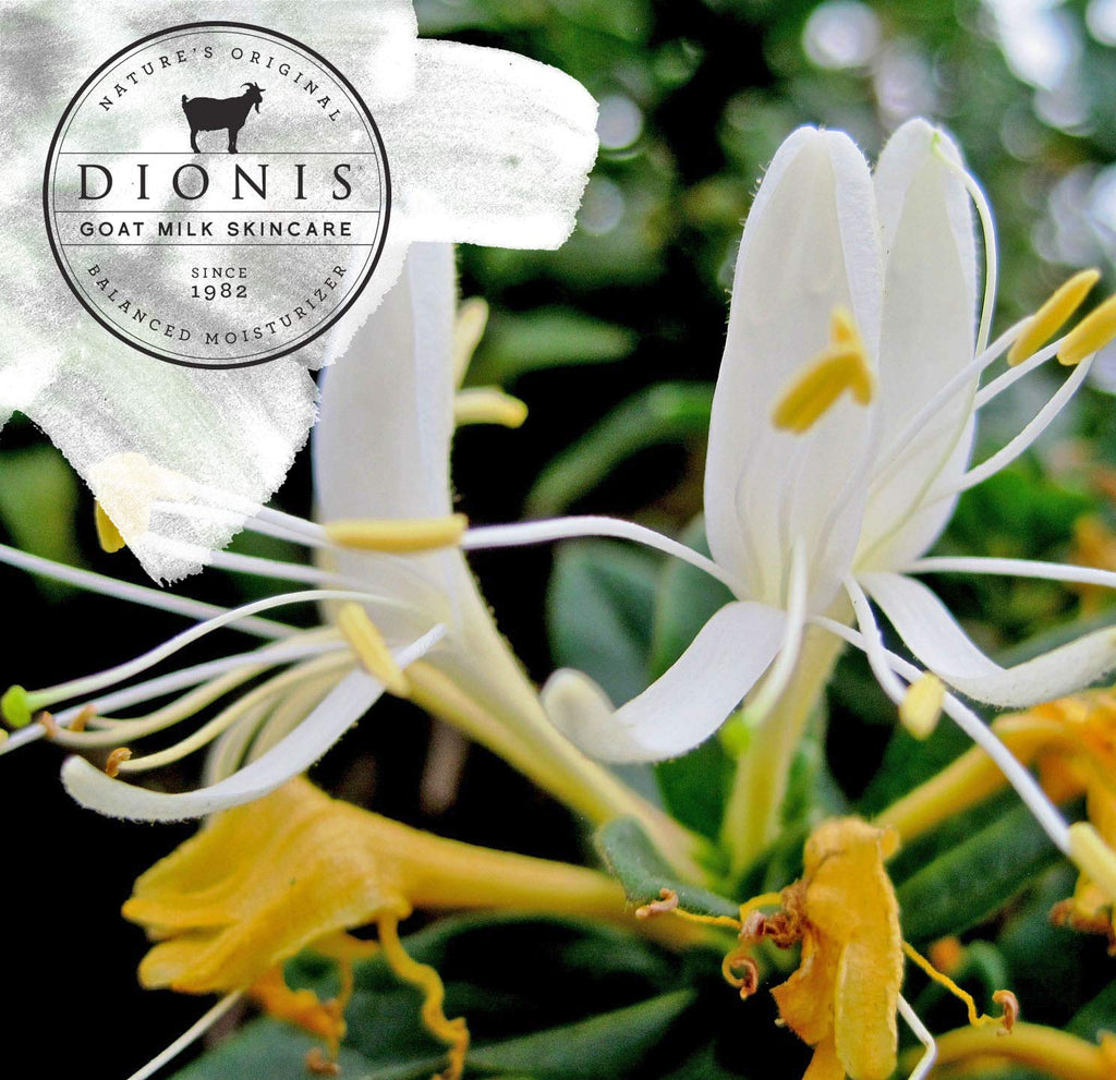Dionis Goat Milk Hand Cream – Honeysuckle & Coconut Scent, 1 oz | Made in USA