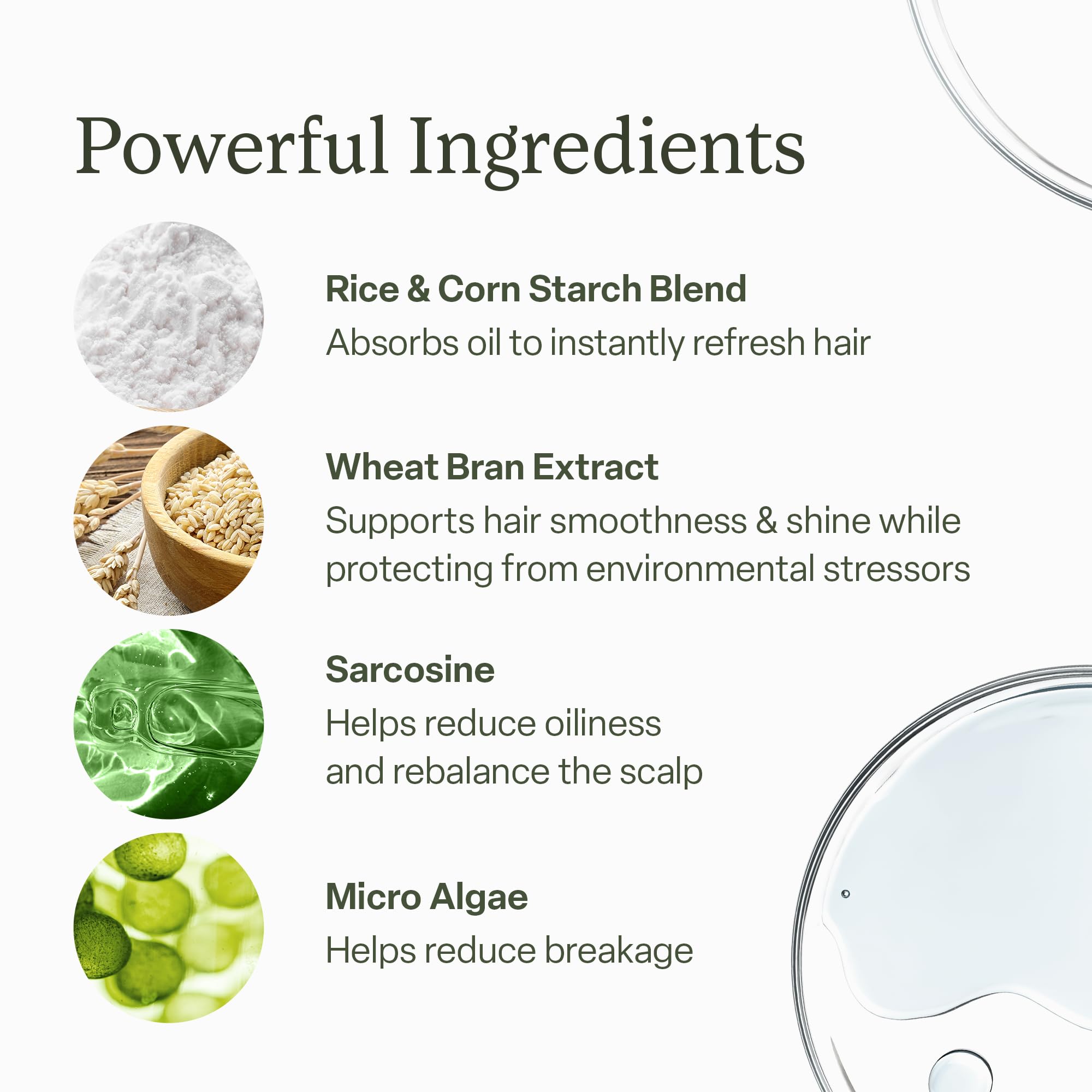 Divi Dry Shampoo Spray for Women – Absorbs Oil, Balances Scalp, 5.3oz