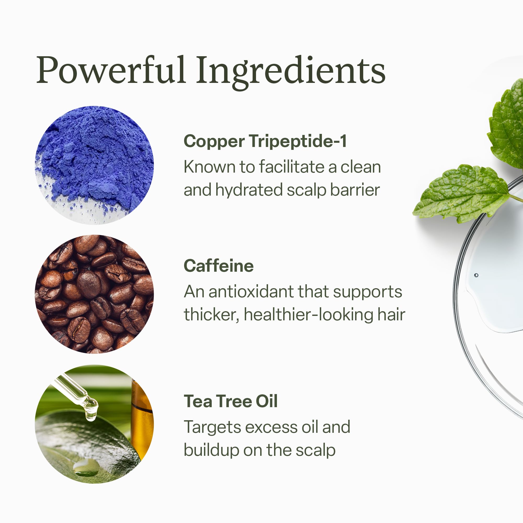 Divi Scalp Serum for Thinning Hair, 15ml – Clinically Tested Nourishing Formula with Amino Acids, Caffeine & Rosemary Oil