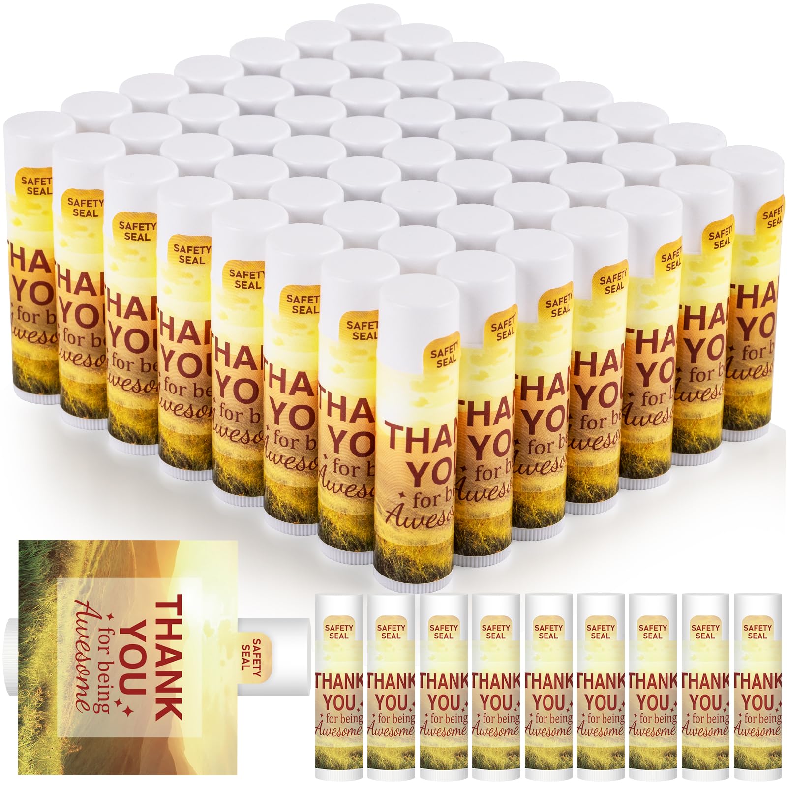 DMSKY Appreciation Gifts Lip Balm Bulk – 60 Pcs Thank You Gifts for Co-workers & Teachers