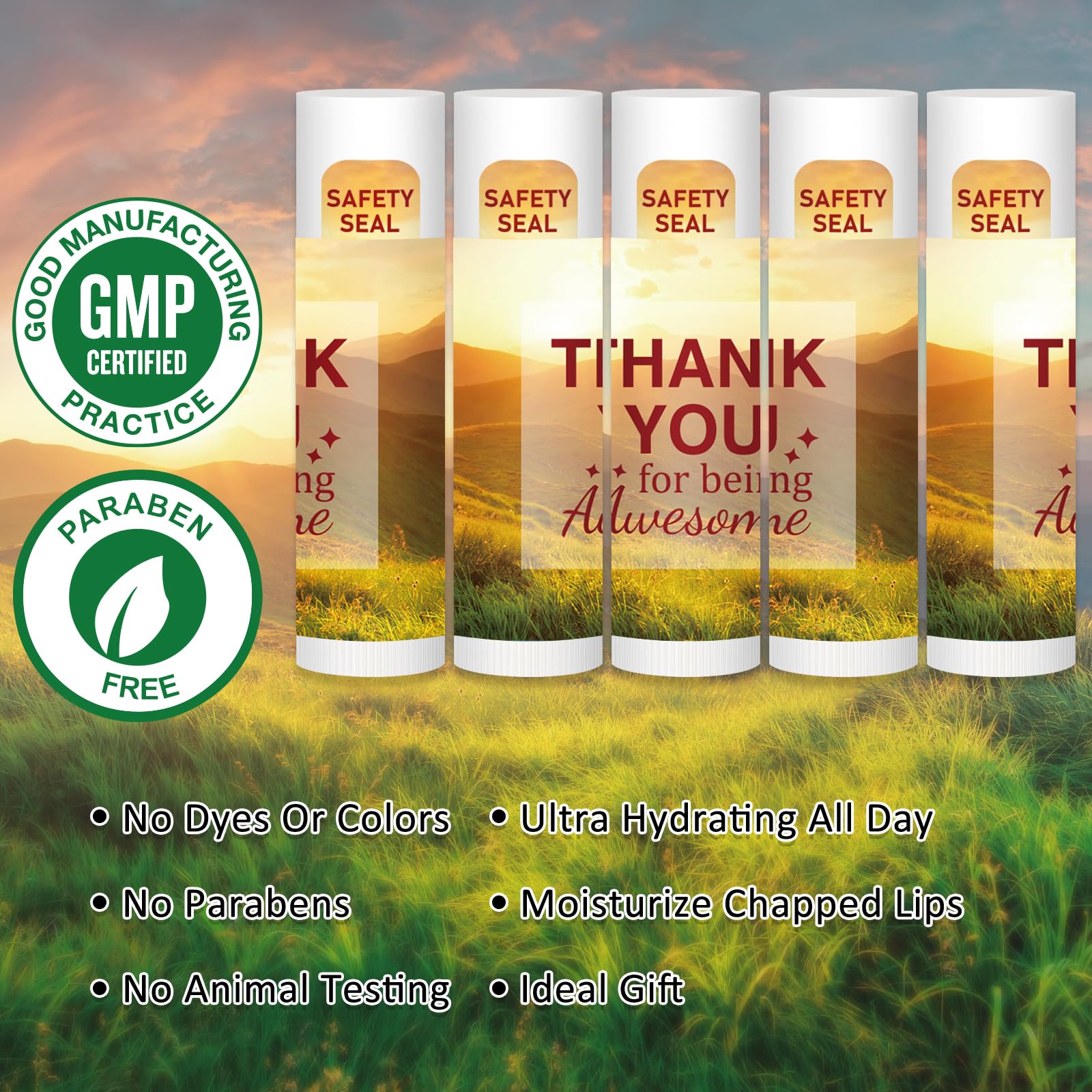 DMSKY Appreciation Gifts Lip Balm Bulk – 60 Pcs Thank You Gifts for Co-workers & Teachers