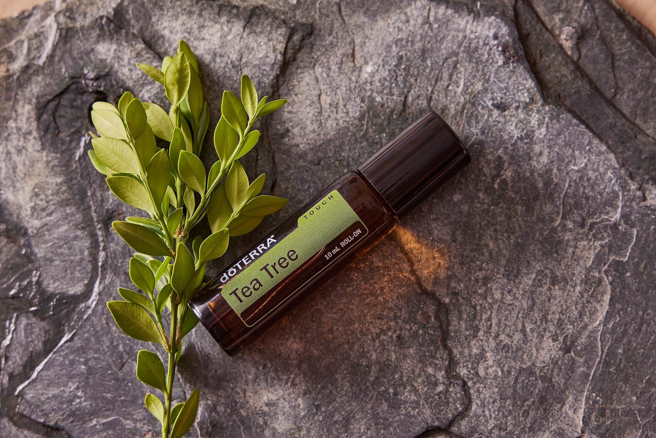 doTERRA Melaleuca Touch Essential Oil Roll-On – 10 mL