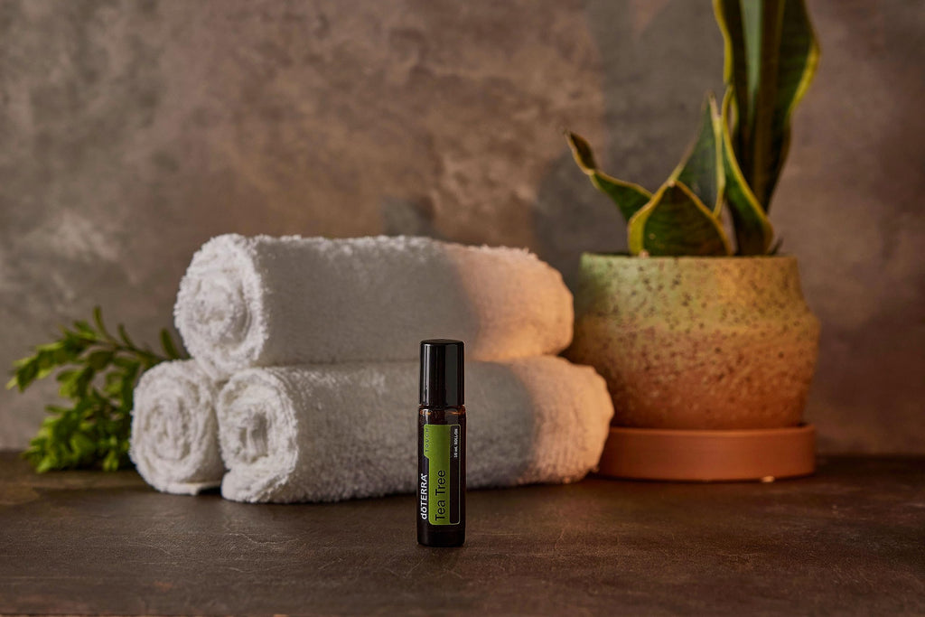 doTERRA Melaleuca Touch Essential Oil Roll-On – 10 mL
