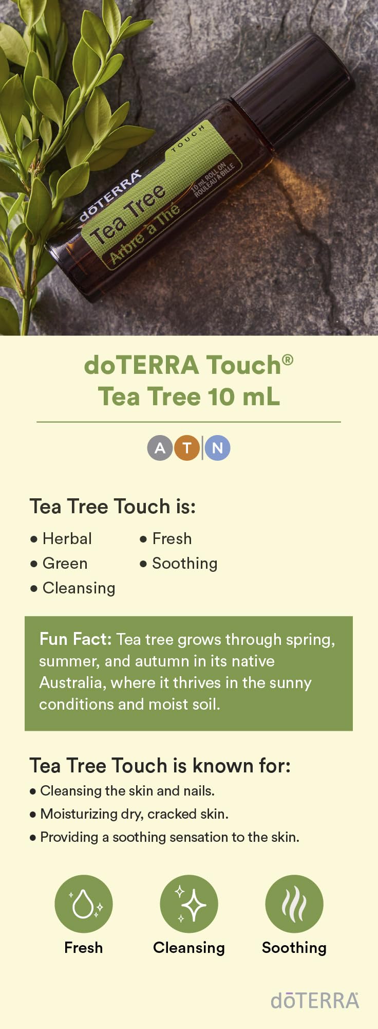 doTERRA Melaleuca Touch Essential Oil Roll-On – 10 mL