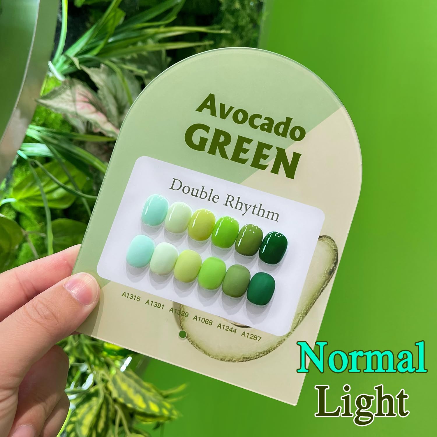 Double Rhythm 6 Pcs Gel Polish Set – 15ml Each in Light Dark Green Olive Teal