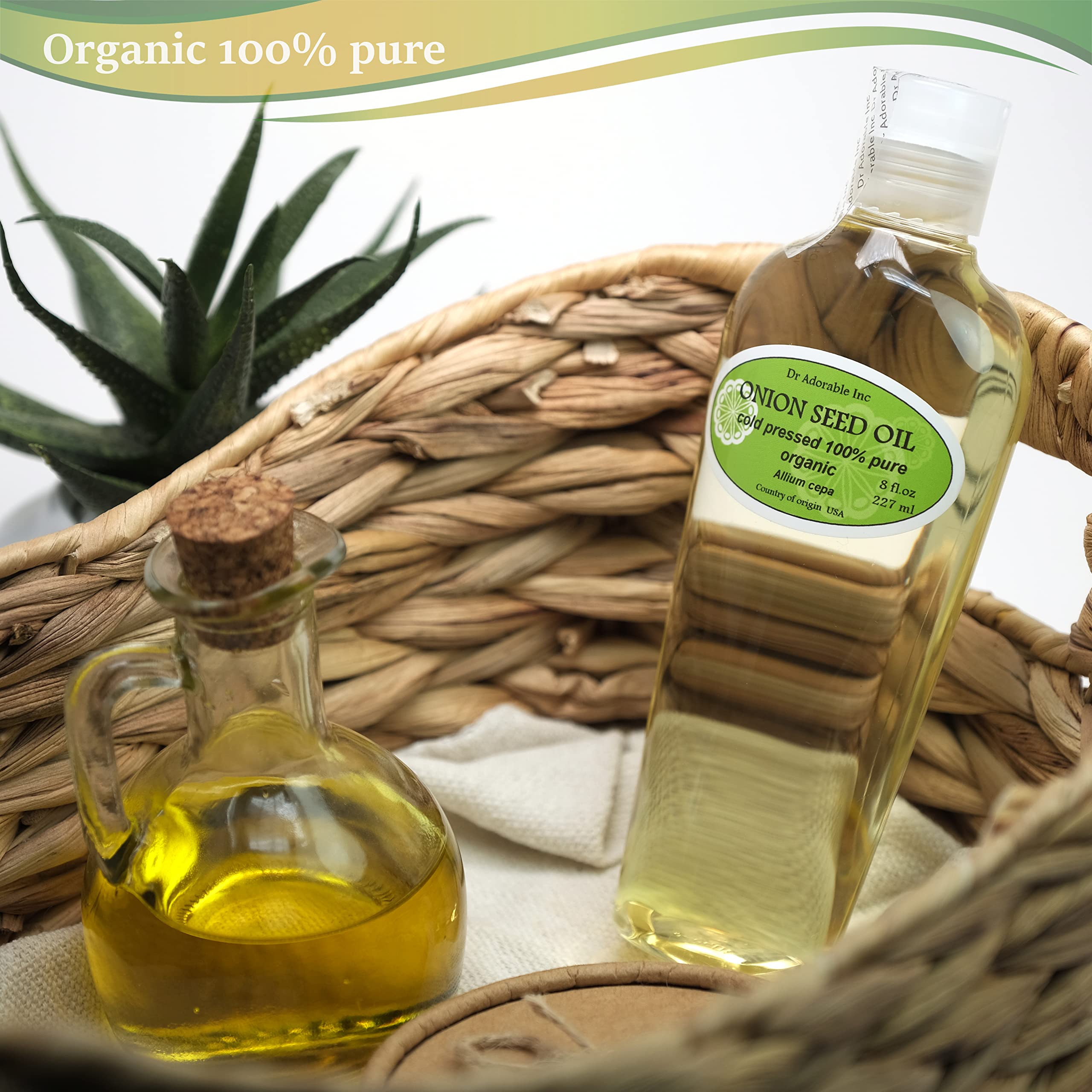 Dr Adorable Onion Seed Oil 8 oz - 100% Pure Organic Cold-Pressed