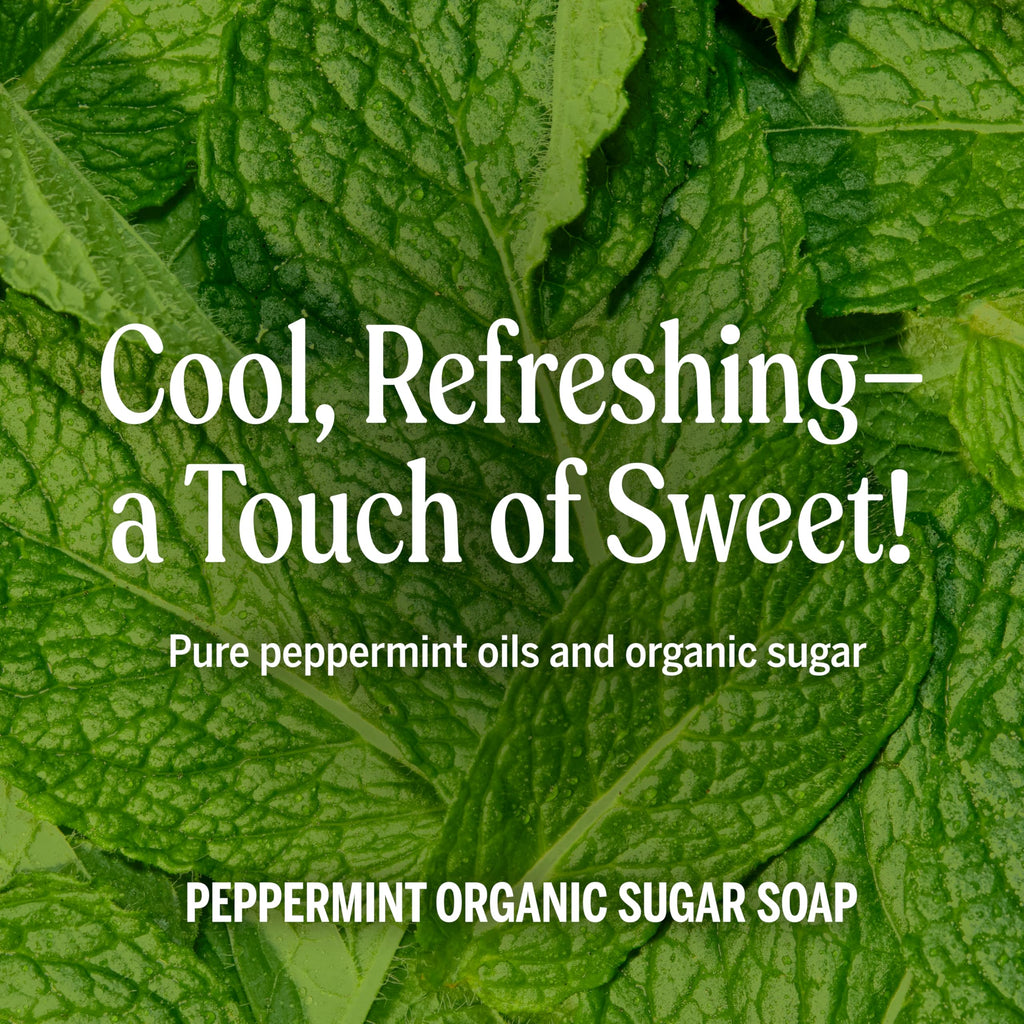 Dr. Bronner’s Organic Sugar Soap Peppermint – 64 oz, 4-in-1 Hand & Body Wash with Organic Oils