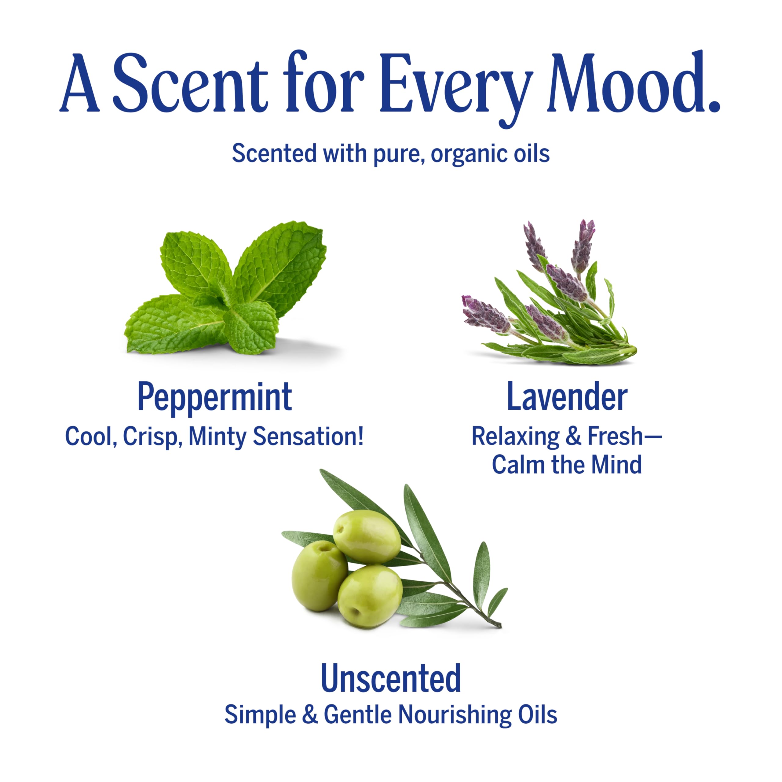 Dr. Bronner's Pure-Castile Magic Bar Soap 3-Pack – Regenerative Organic Oils – Peppermint, Lavender & Unscented