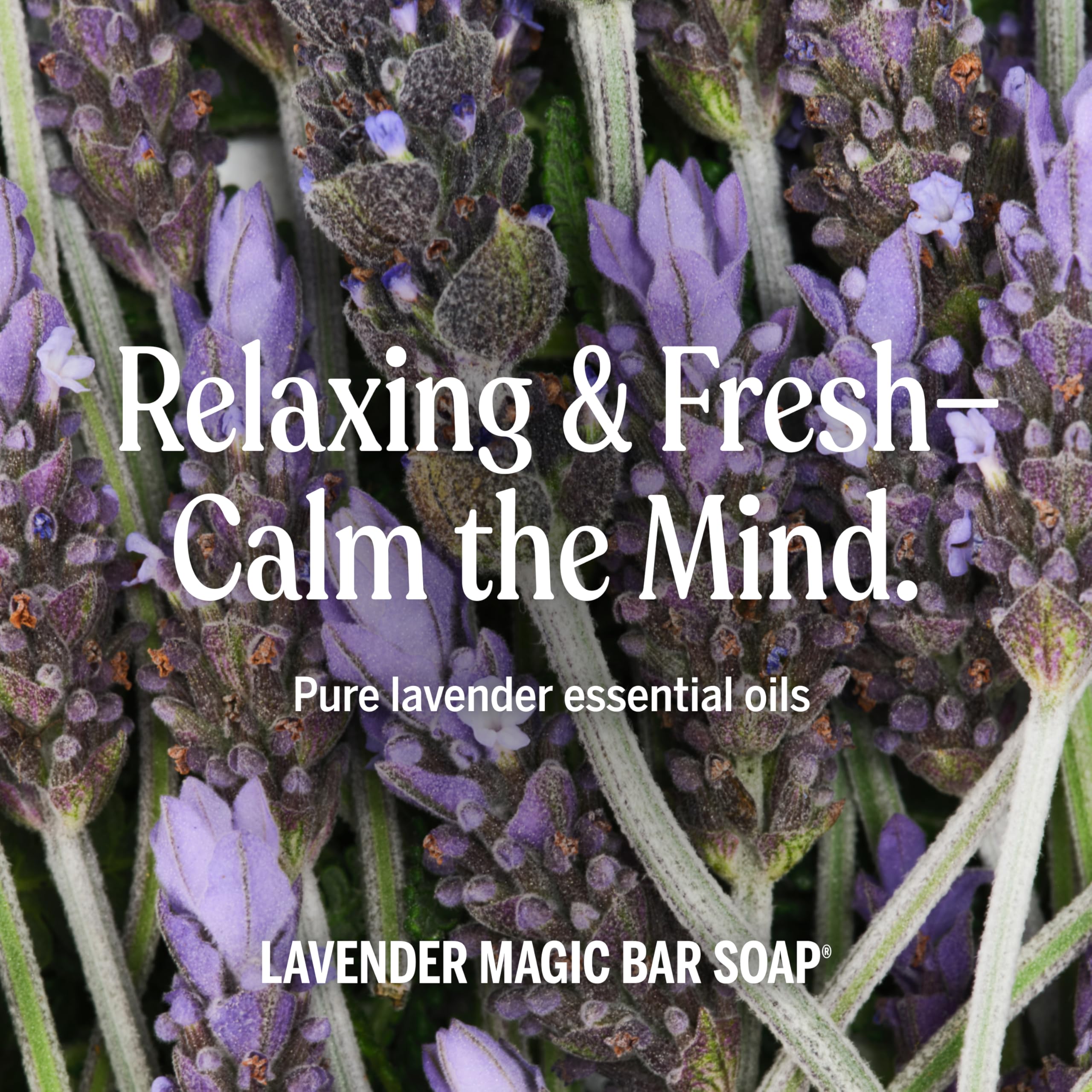 Dr. Bronner's Lavender Pure-Castile Bar Soap | Regenerative Organic Oils, 12-Pack