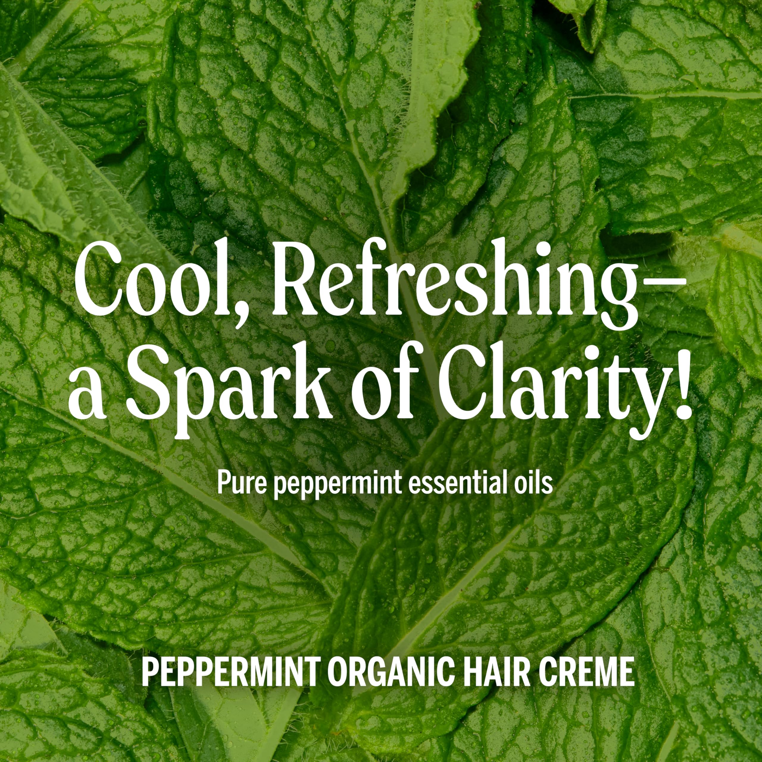 Dr. Bronner's Organic Hair Crème Peppermint – 6 oz, 2-Pack | Leave-In Conditioner & Styling Cream