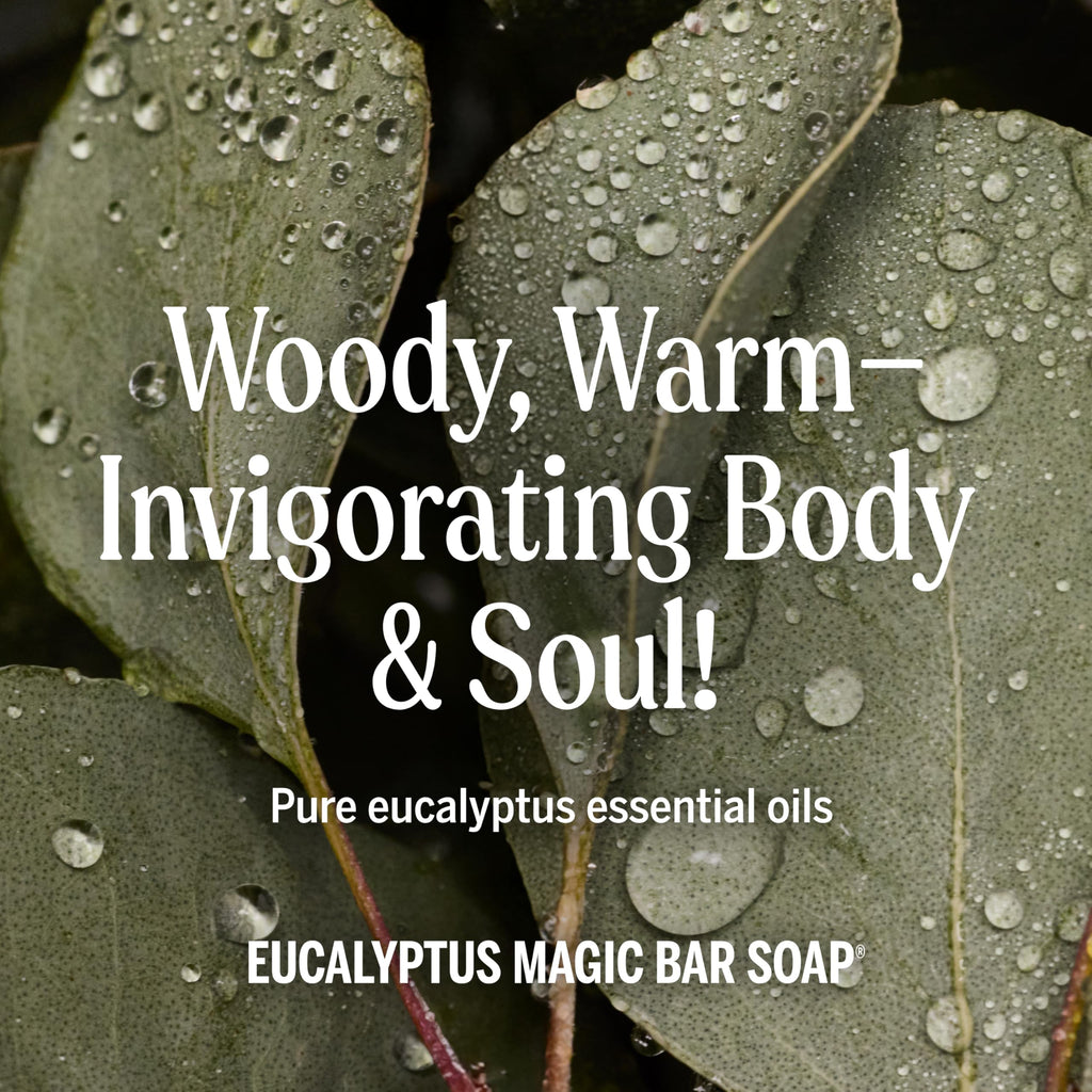 Dr. Bronner's Pure-Castile Magic Bar Soap – Eucalyptus, 5oz, 12-Pack | Vegan, Cruelty-Free, Non-GMO