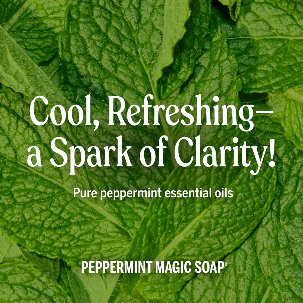 Dr. Bronner's Peppermint Pure-Castile Refill (32oz) – Regenerative Oils, 86% Less Plastic