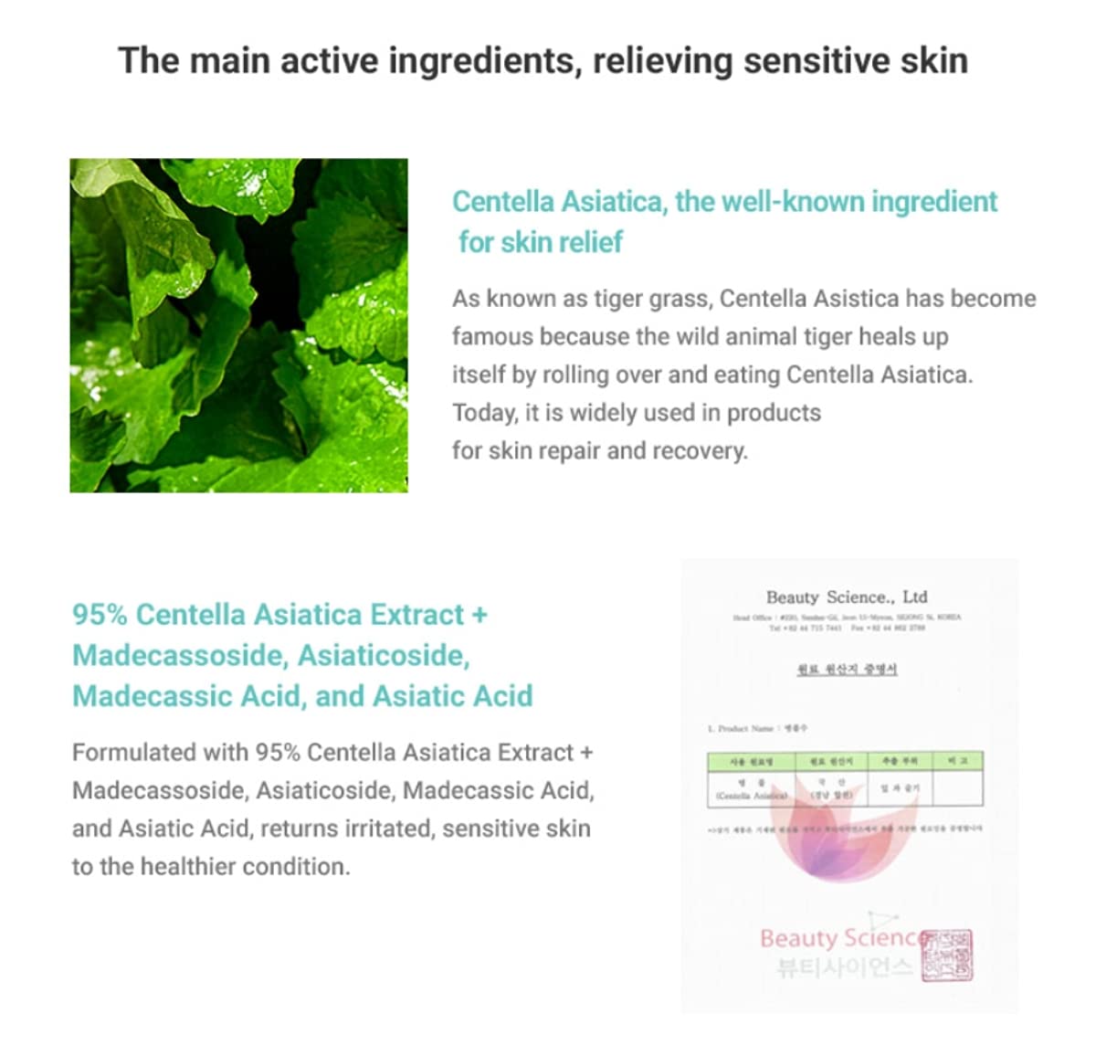 Dr.Ceuracle Cica Regen 95 Soothing Gel 110g – Cooling, Lightweight Moisture for Sensitive Skin
