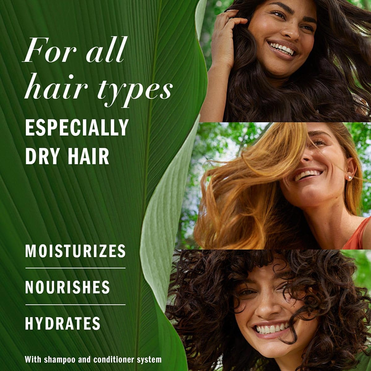 Dr Healdy Batana Oil for Hair Growth and Nourishment - 100% Raw Unrefined Batana from Honduras (120ml)