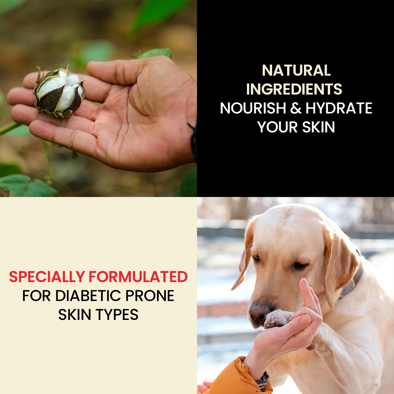 Dr. Hess Skin Moisturizer for Diabetic-Prone Skin | 3-Pack Hydration with Lanolin & Olive Oil