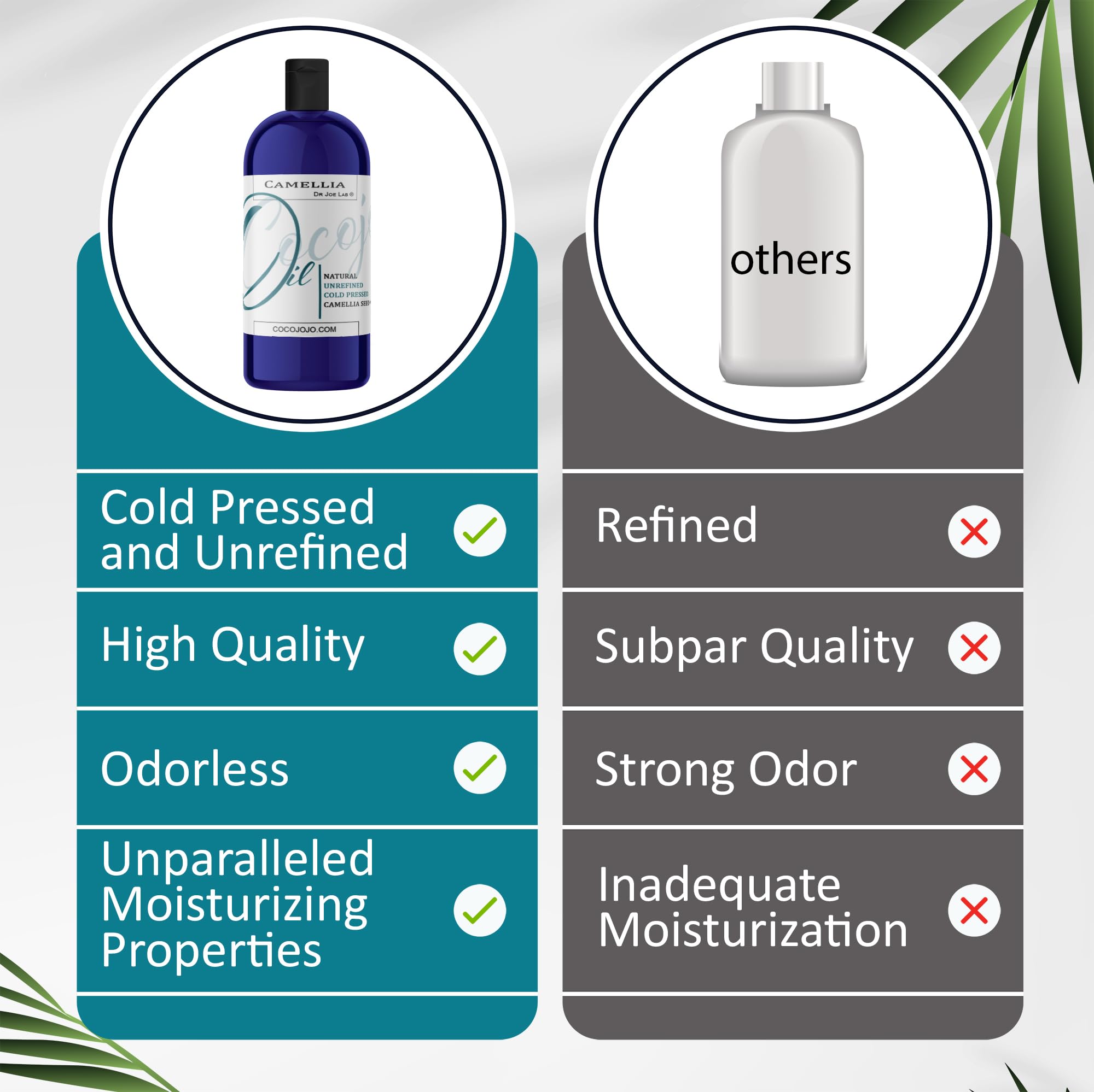 Dr Joe Lab Japanese Camellia Seed Oil – Pure, Cold-Pressed, Non-GMO, 8 oz for Skin, Hair, Nails