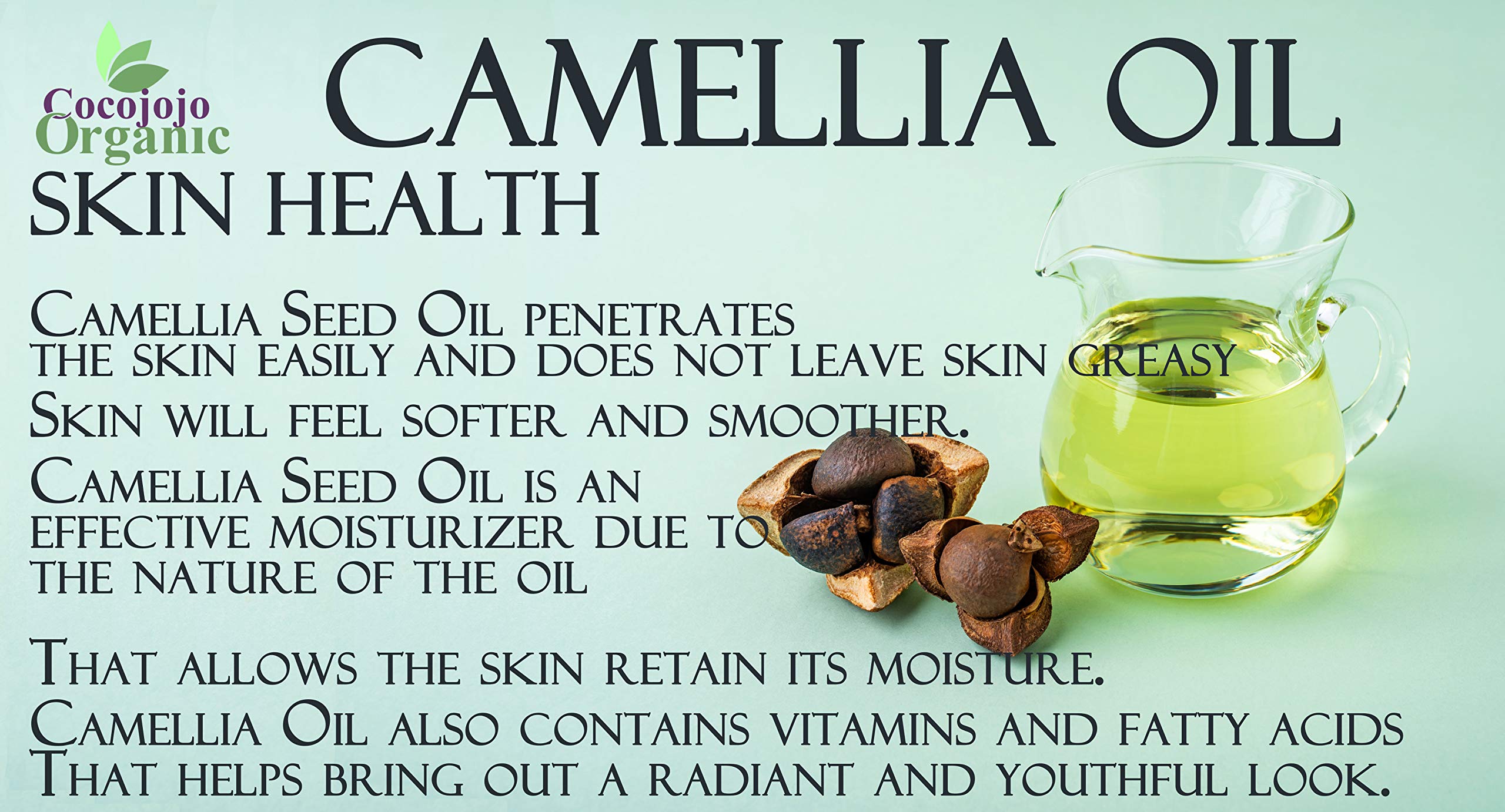 Dr Joe Lab Japanese Camellia Seed Oil — Pure, Cold-Pressed, Non-GMO 16 oz