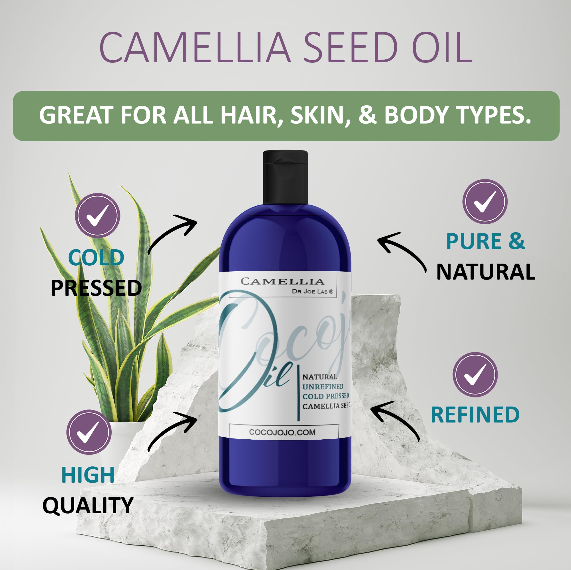Dr Joe Lab Japanese Camellia Seed Oil – Pure, Cold-Pressed, Non-GMO, 8 oz for Skin, Hair, Nails