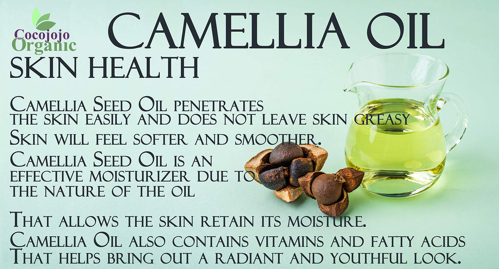 Dr Joe Lab Camellia Seed Oil 128 oz – Pure Cold-Pressed Camellia Seed Oil for Hair, Skin, Nails & Beard