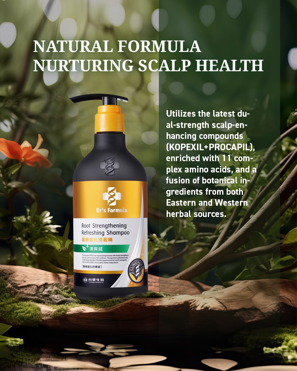 Dr's Formula Root Strengthening Shampoo – Oily Scalp Care, Volume & Rescue for Brittle Hair | 20.46 Fl Oz