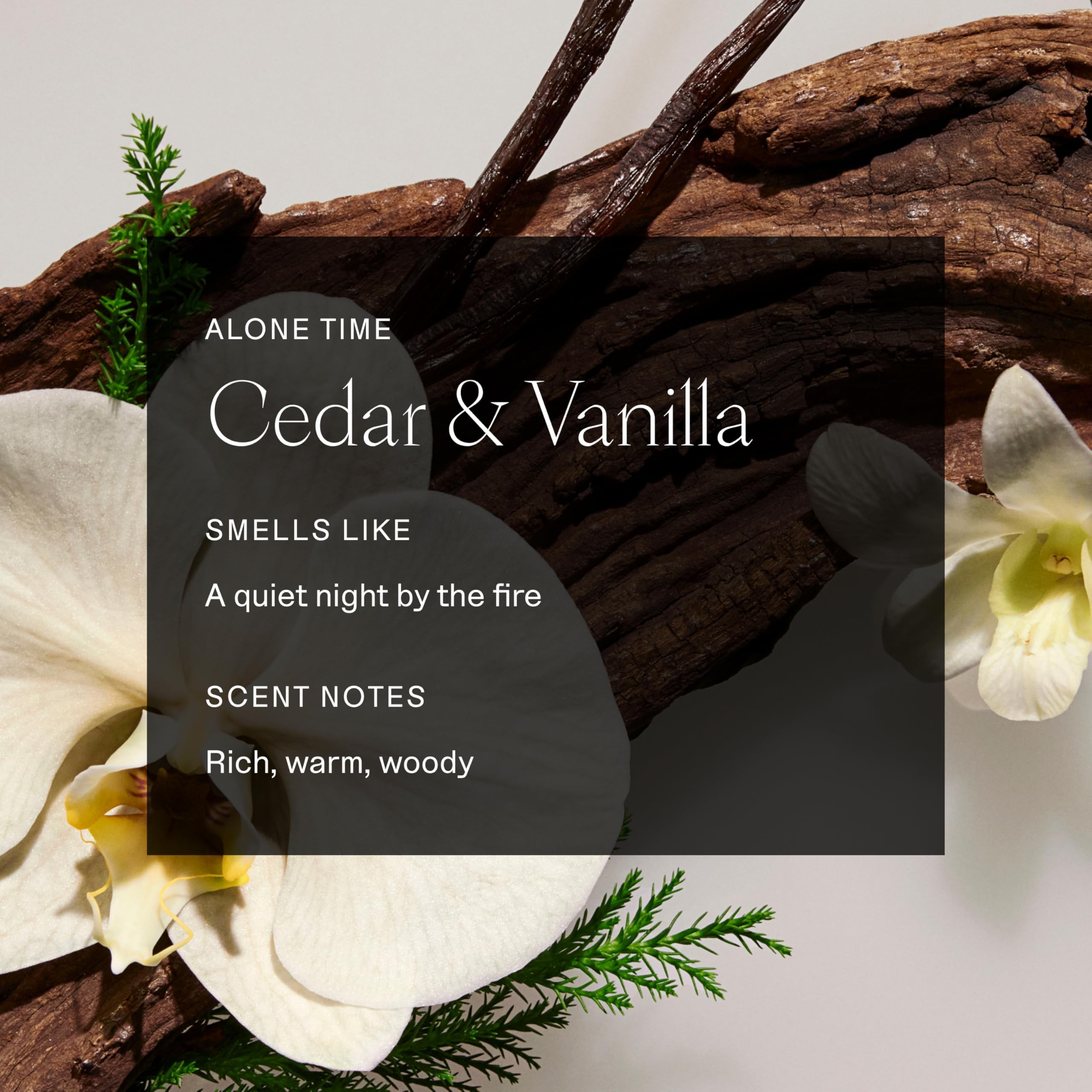 Each & Every Aluminum-Free Deodorant – Cedar & Vanilla, All Natural, EWG Verified (3-Pack, 2.5oz)