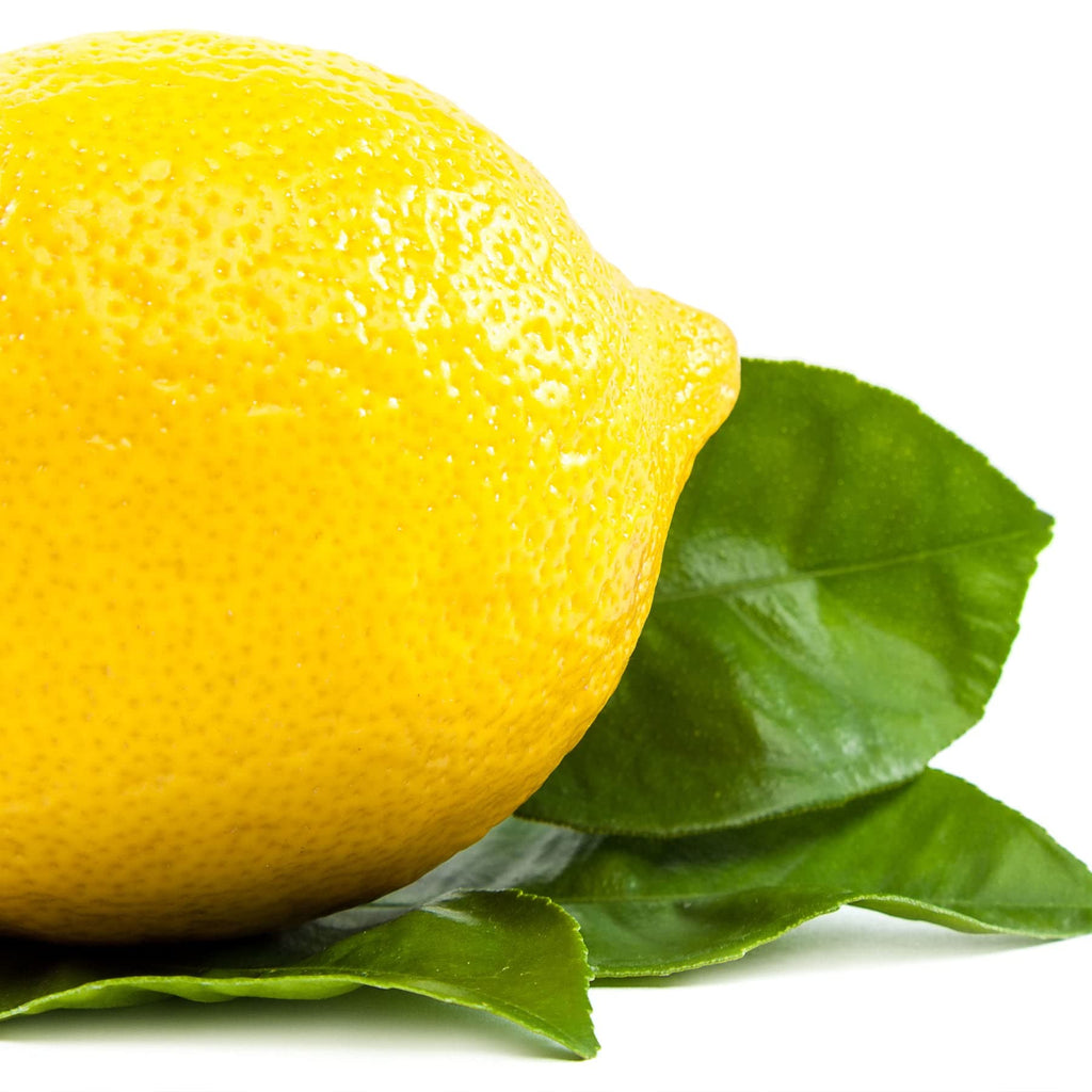 Earth To Skin Super Foods Lemon + Basil Hand & Body Creme Gel (8 oz) – Pack of 2